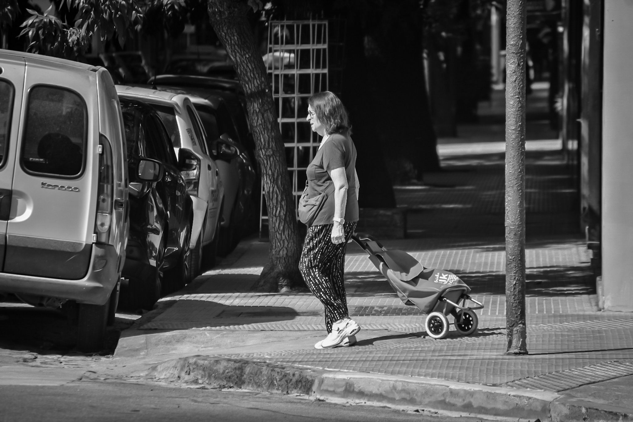 DSC_0106 (1).jpg