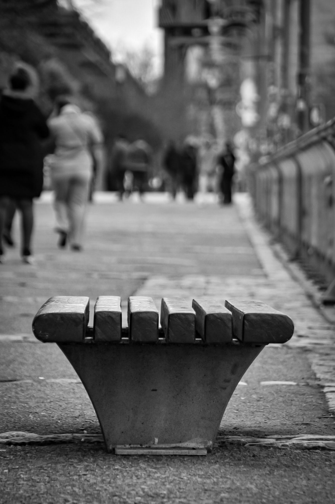 DSC_0228 (1).jpg
