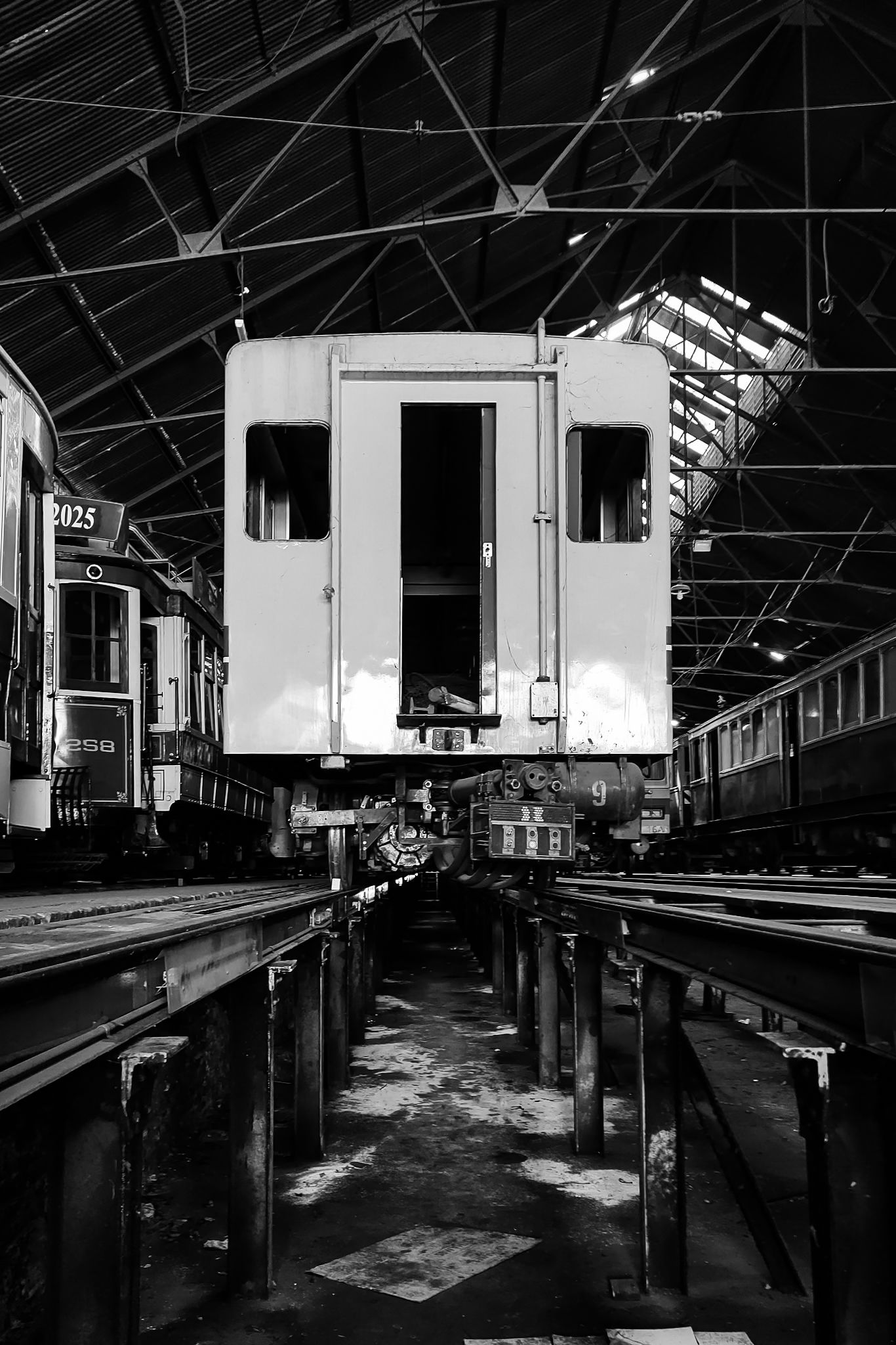 IMG_20251030_104929004_HDR (1).jpg