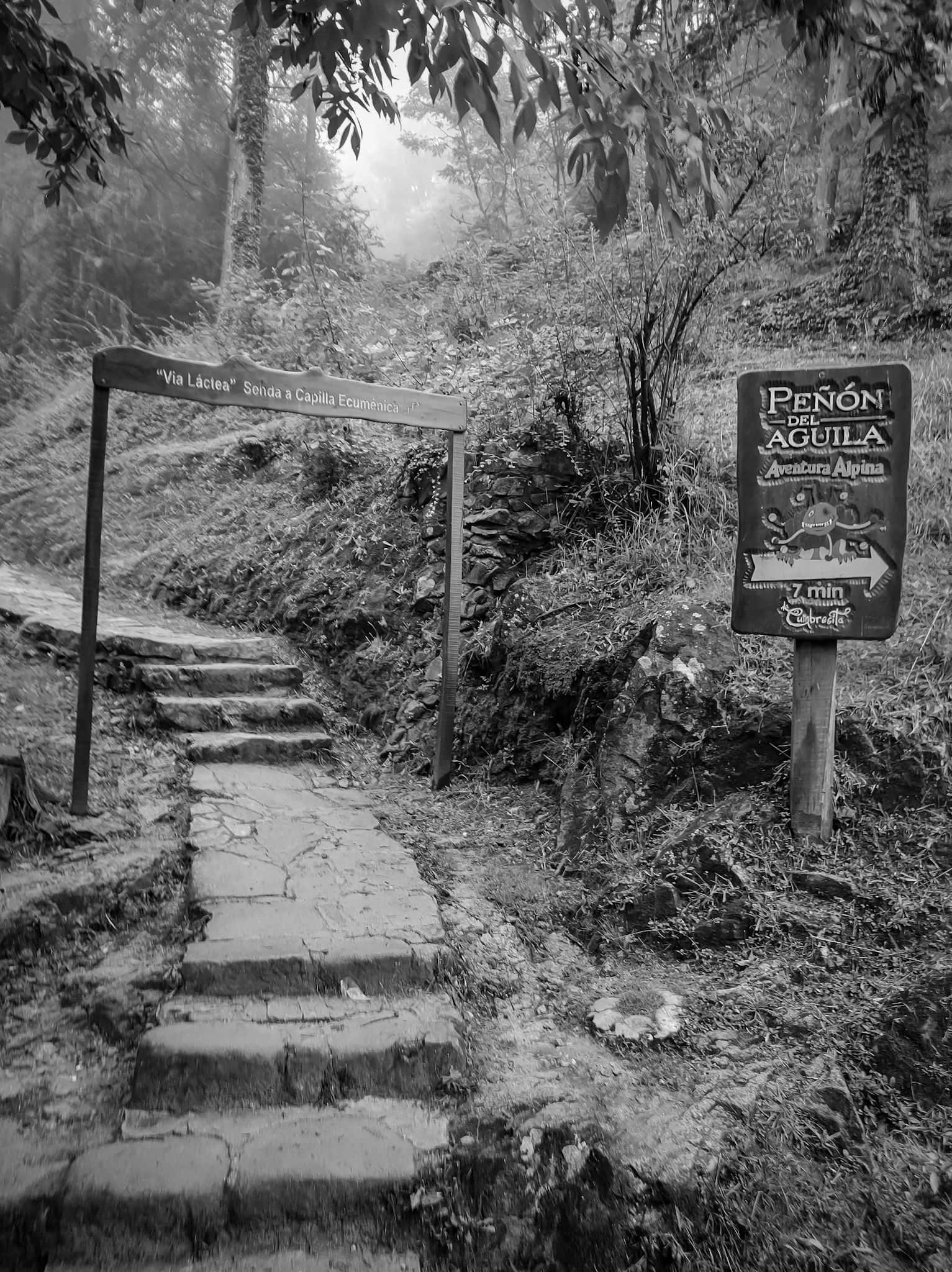 IMG_20250302_191144440 (1).jpg
