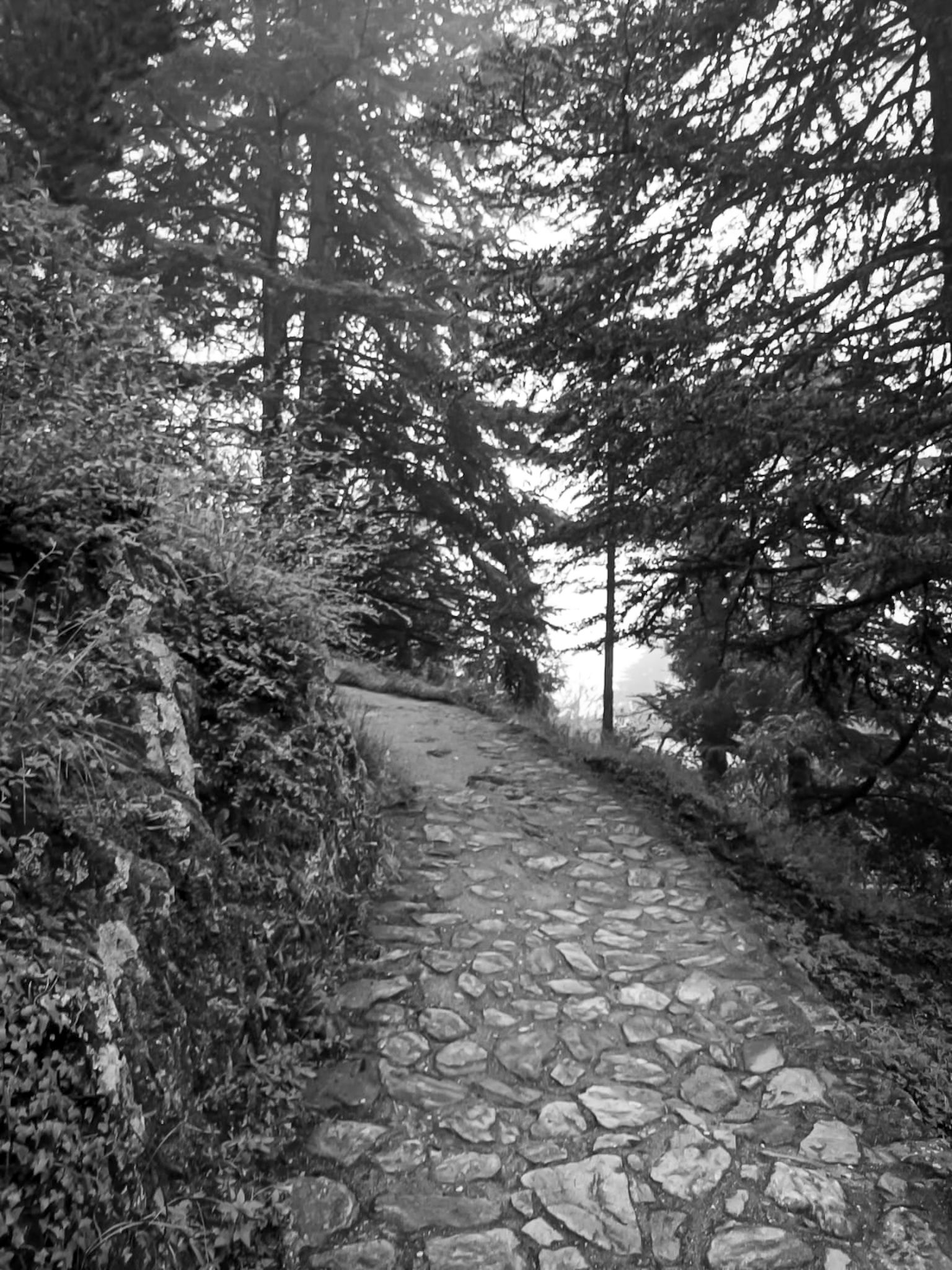 IMG-20250304-WA0014 (1).jpg