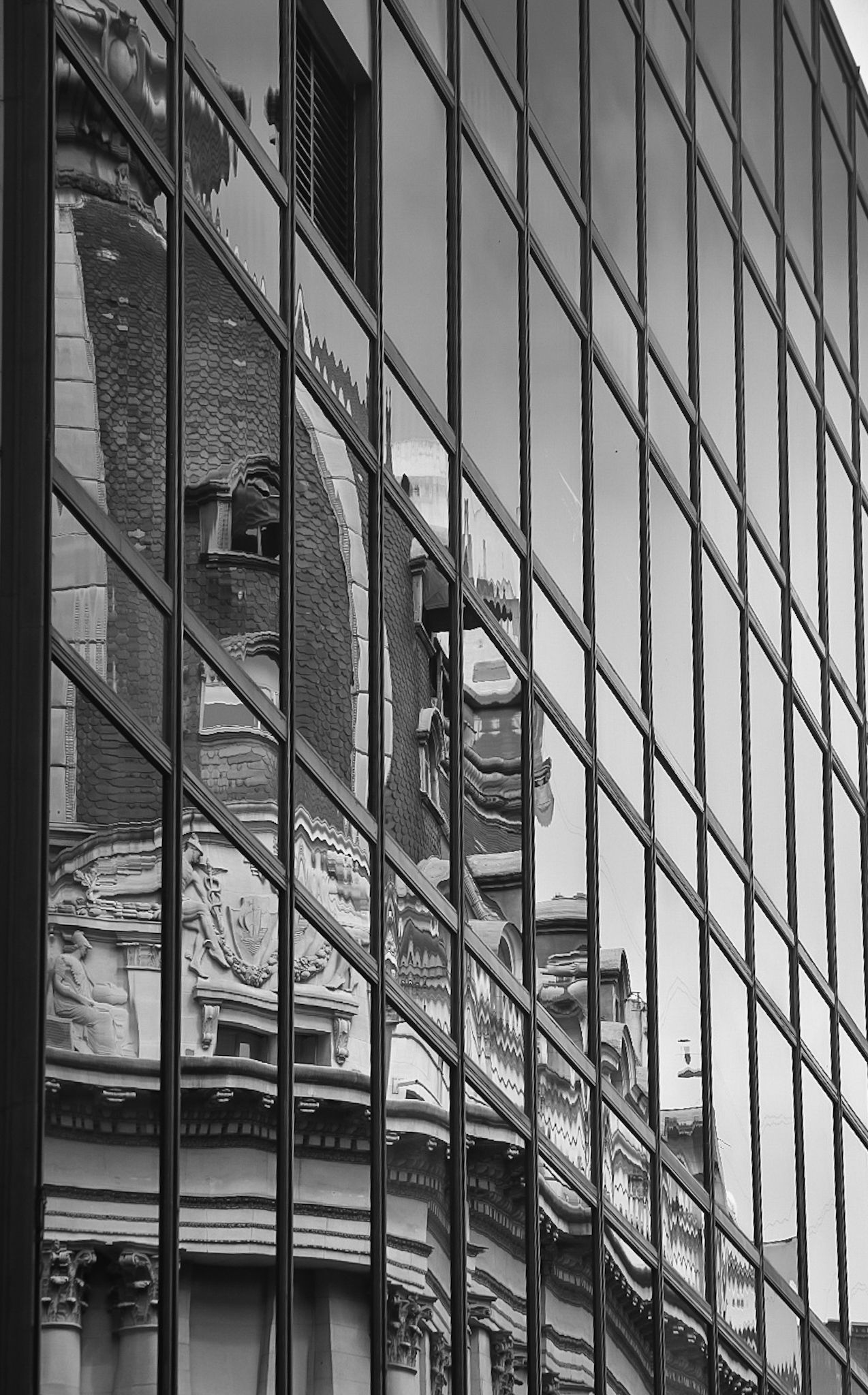 DSC_0503 (1).jpg