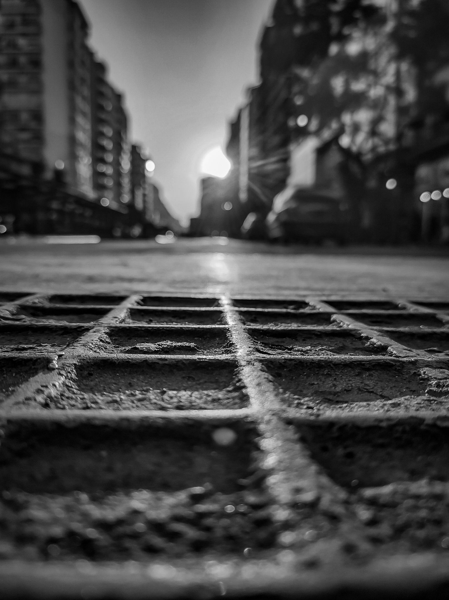 IMG_20250609_165845989_HDR (1).jpg