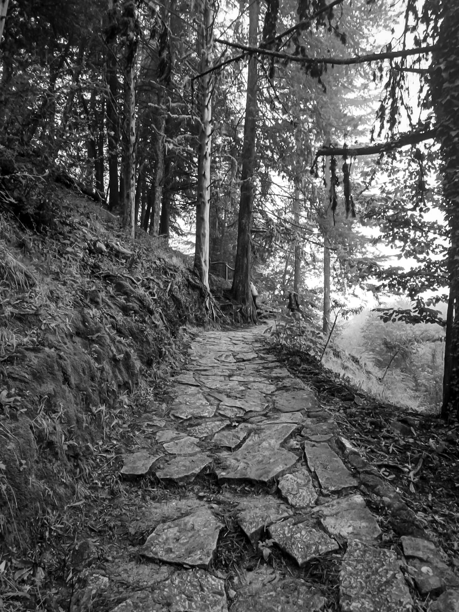 IMG-20250304-WA0007 (1).jpg