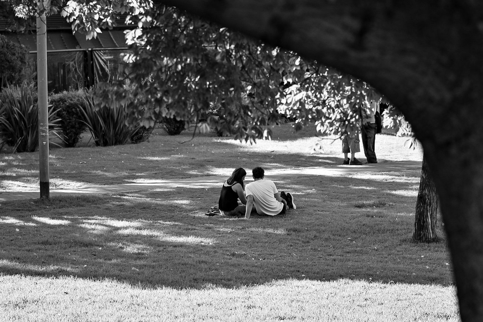 DSC_0231_1.jpg