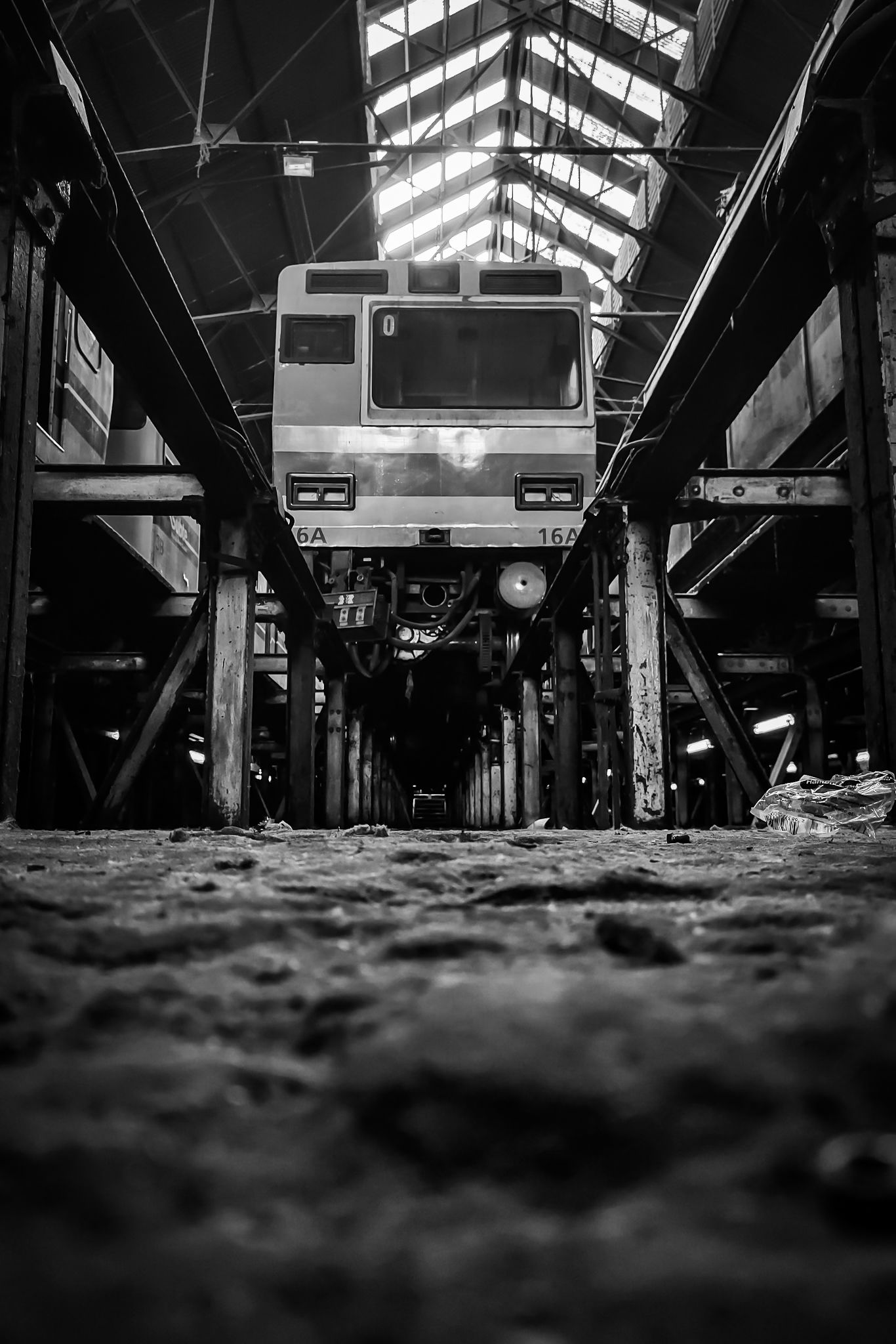 IMG_20251030_105238110_HDR (1).jpg