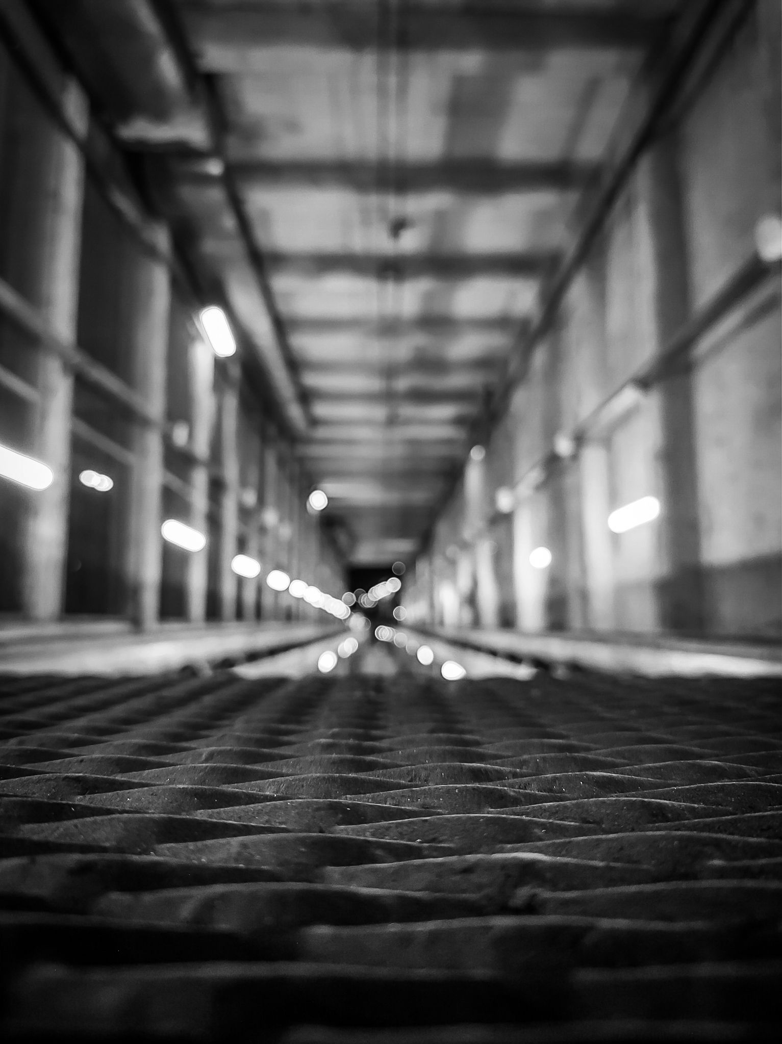 IMG_20251016_094222793_HDR (1).jpg