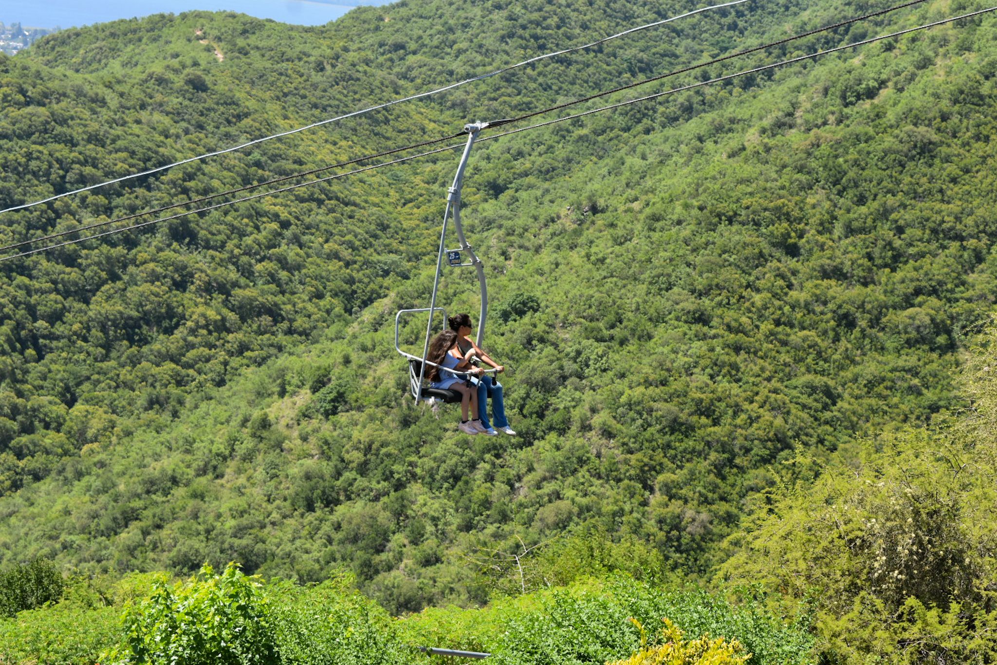 DSC_0852.jpg