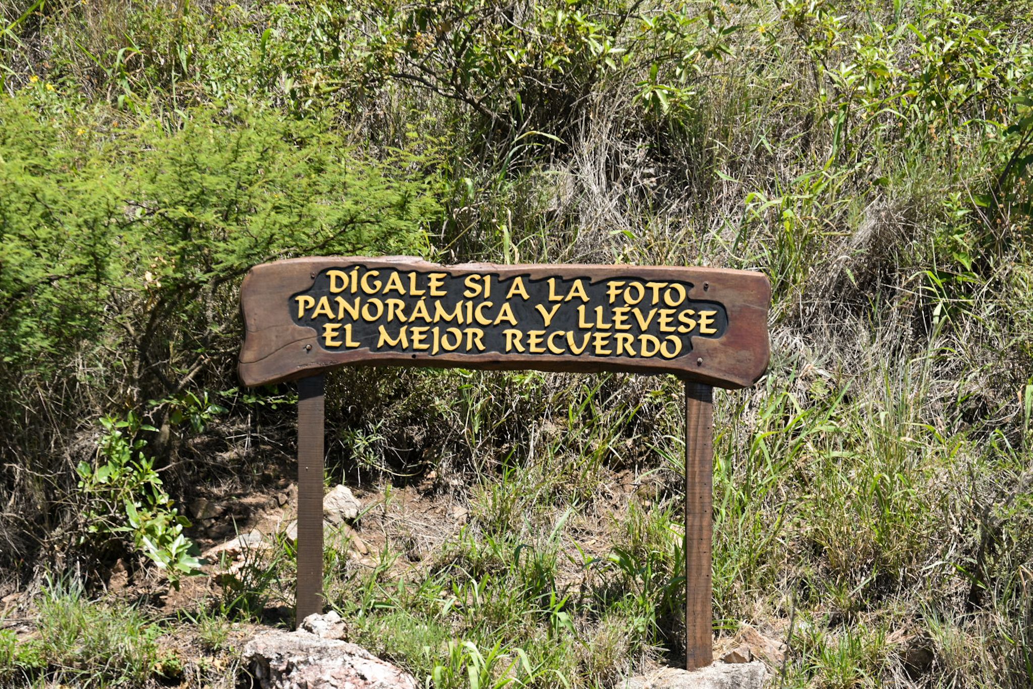 DSC_0808.jpg