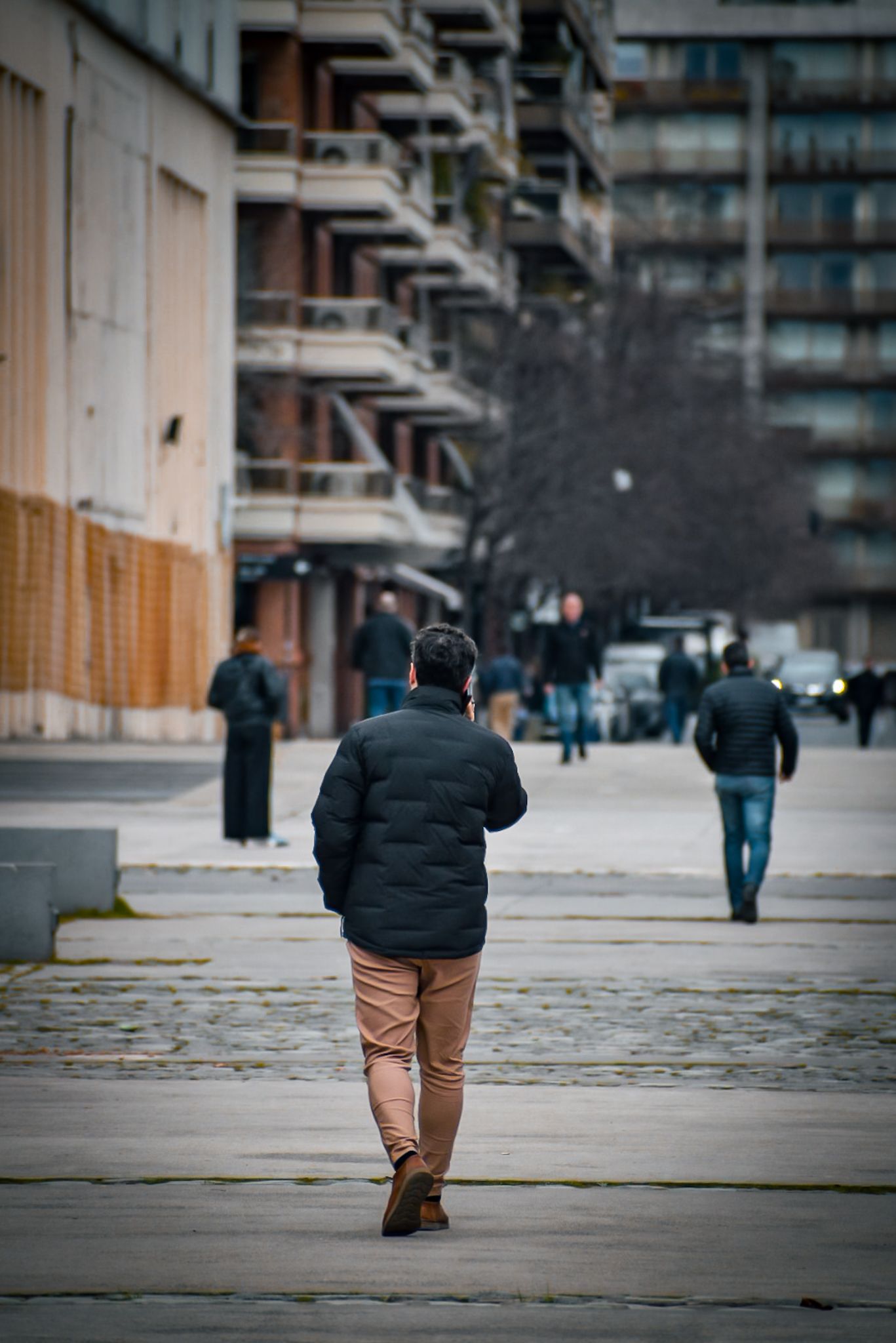DSC_0169.jpg