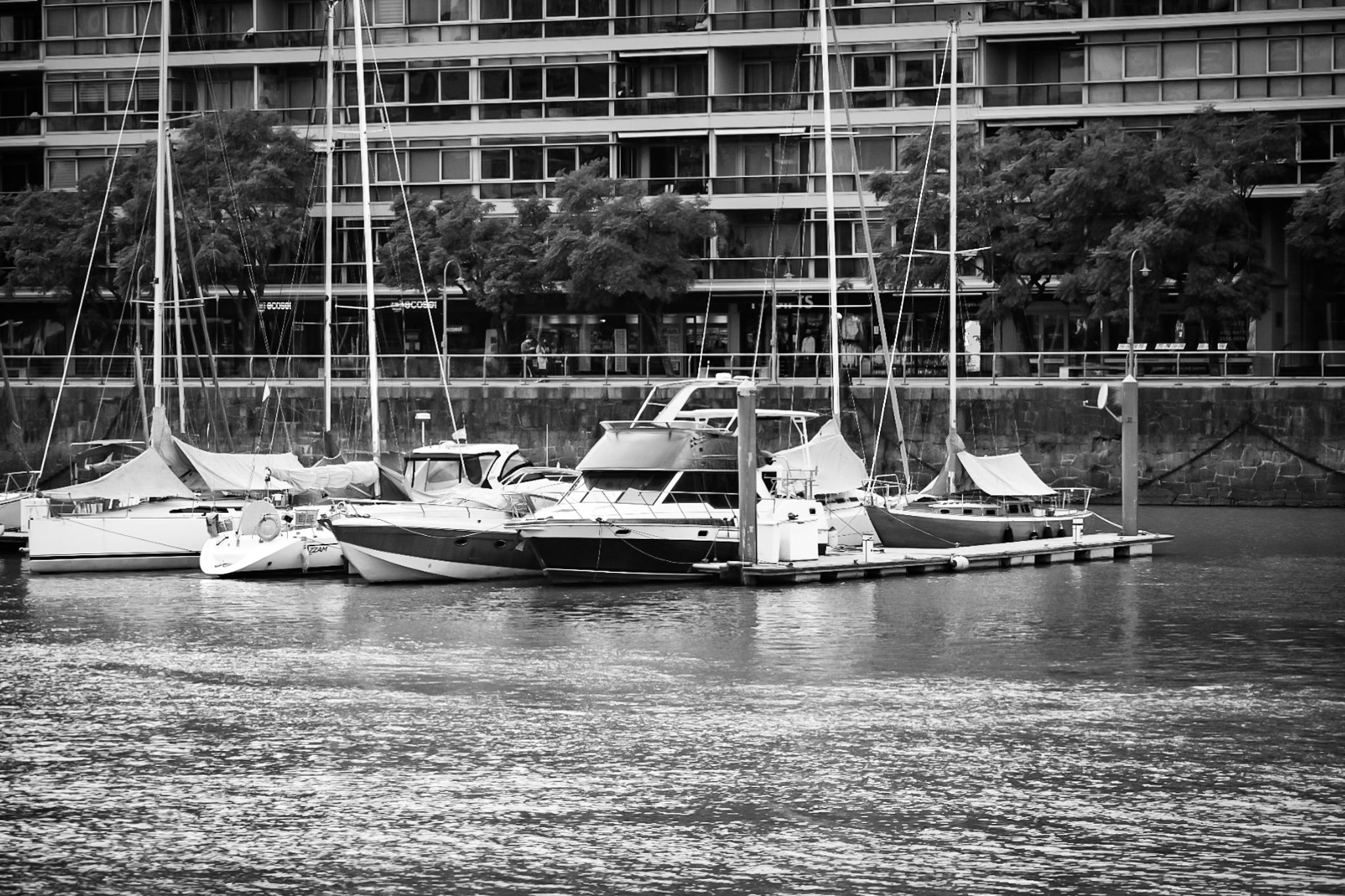 DSC_0091 (3) (1).jpg