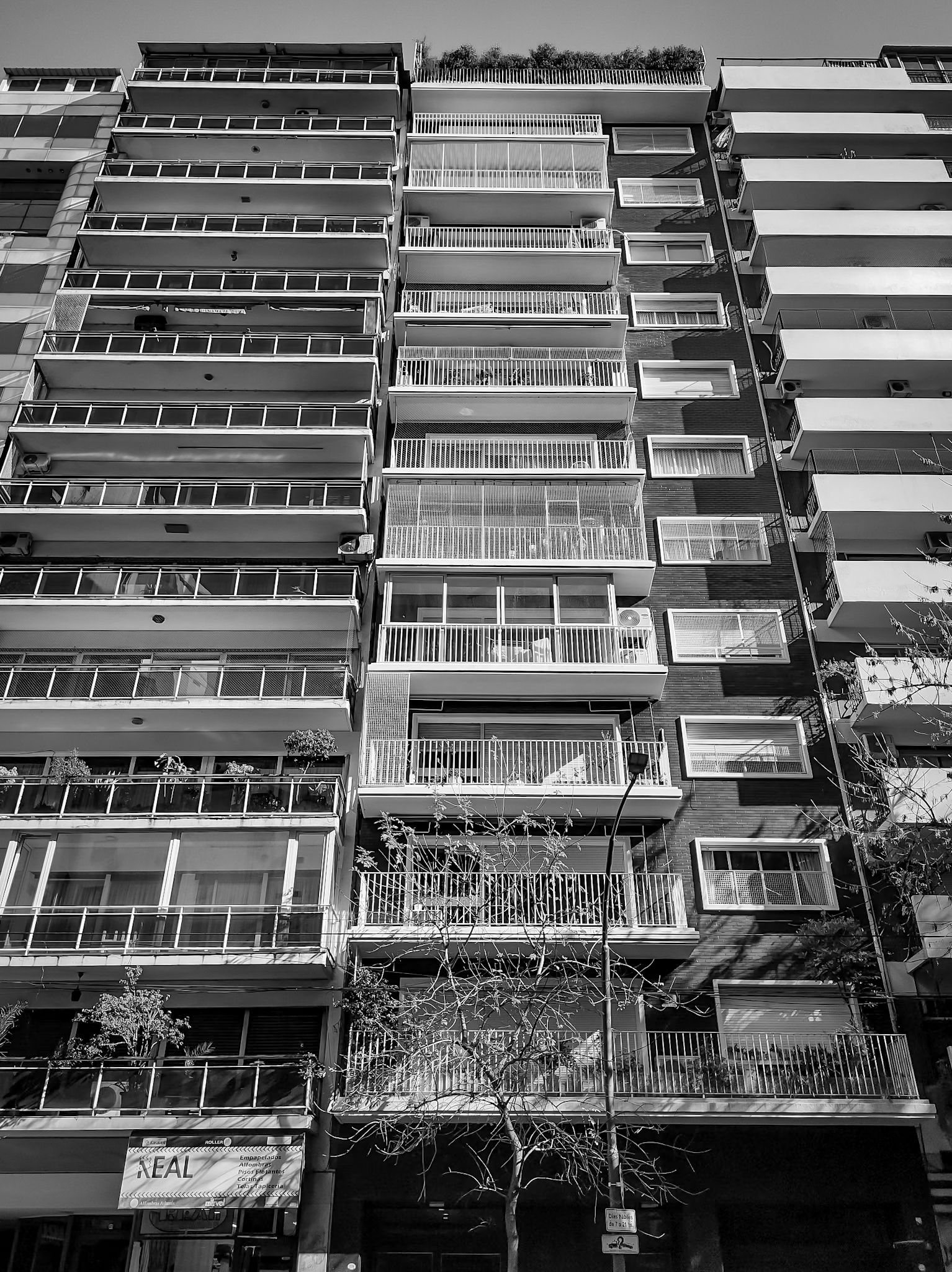 IMG_20250509_143250813_HDR (1).jpg
