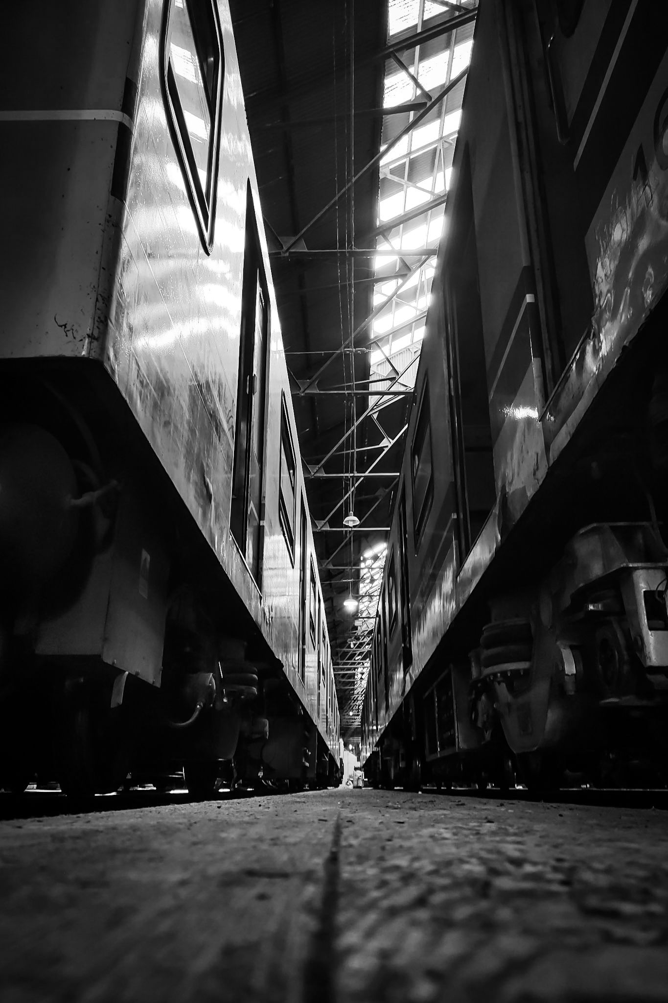 IMG_20251030_121736086_HDR (1).jpg