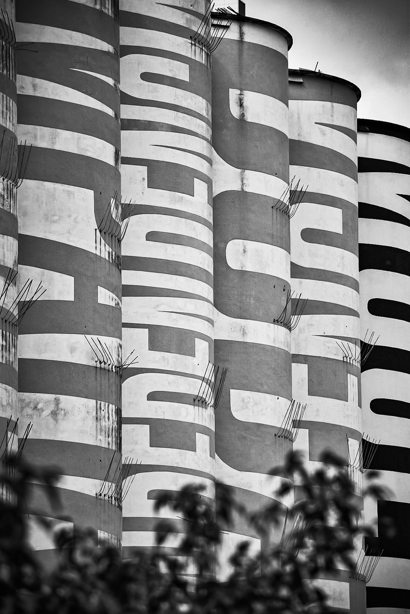 DSC_0172 (1).jpg