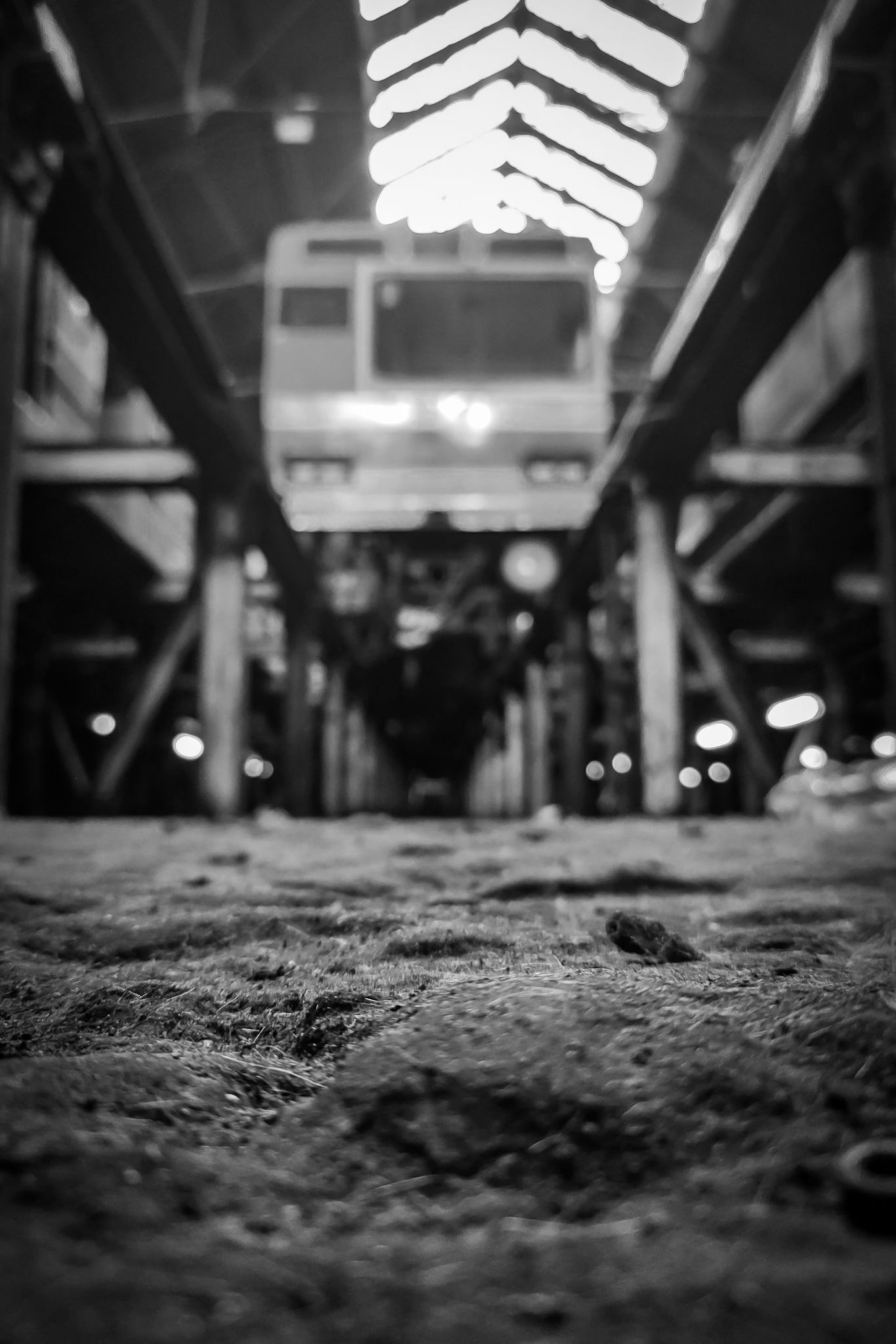 IMG_20251030_105243656 (1).jpg