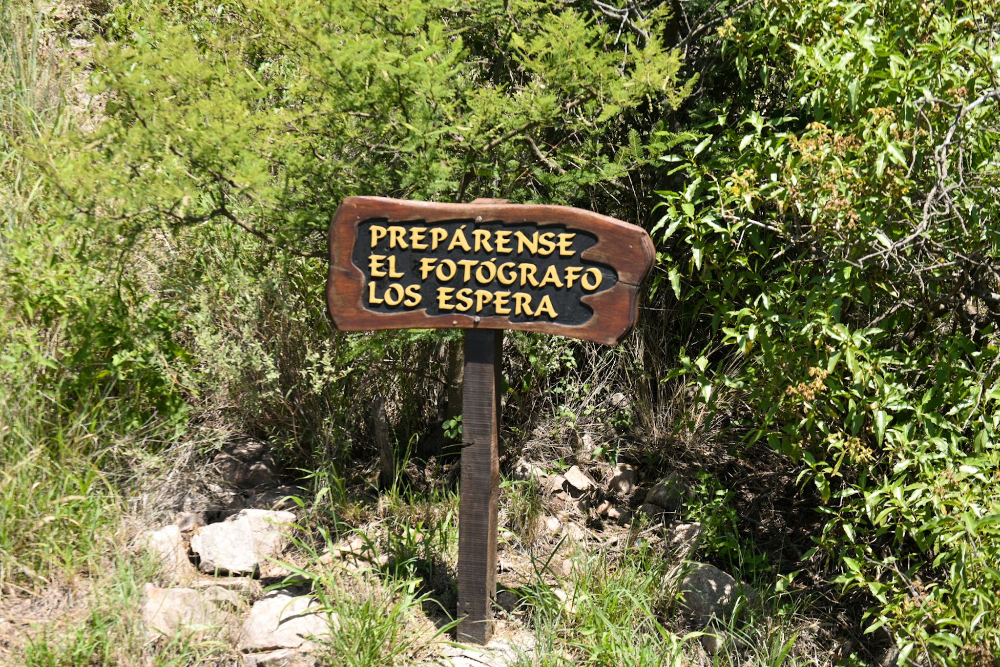 DSC_0817.jpg