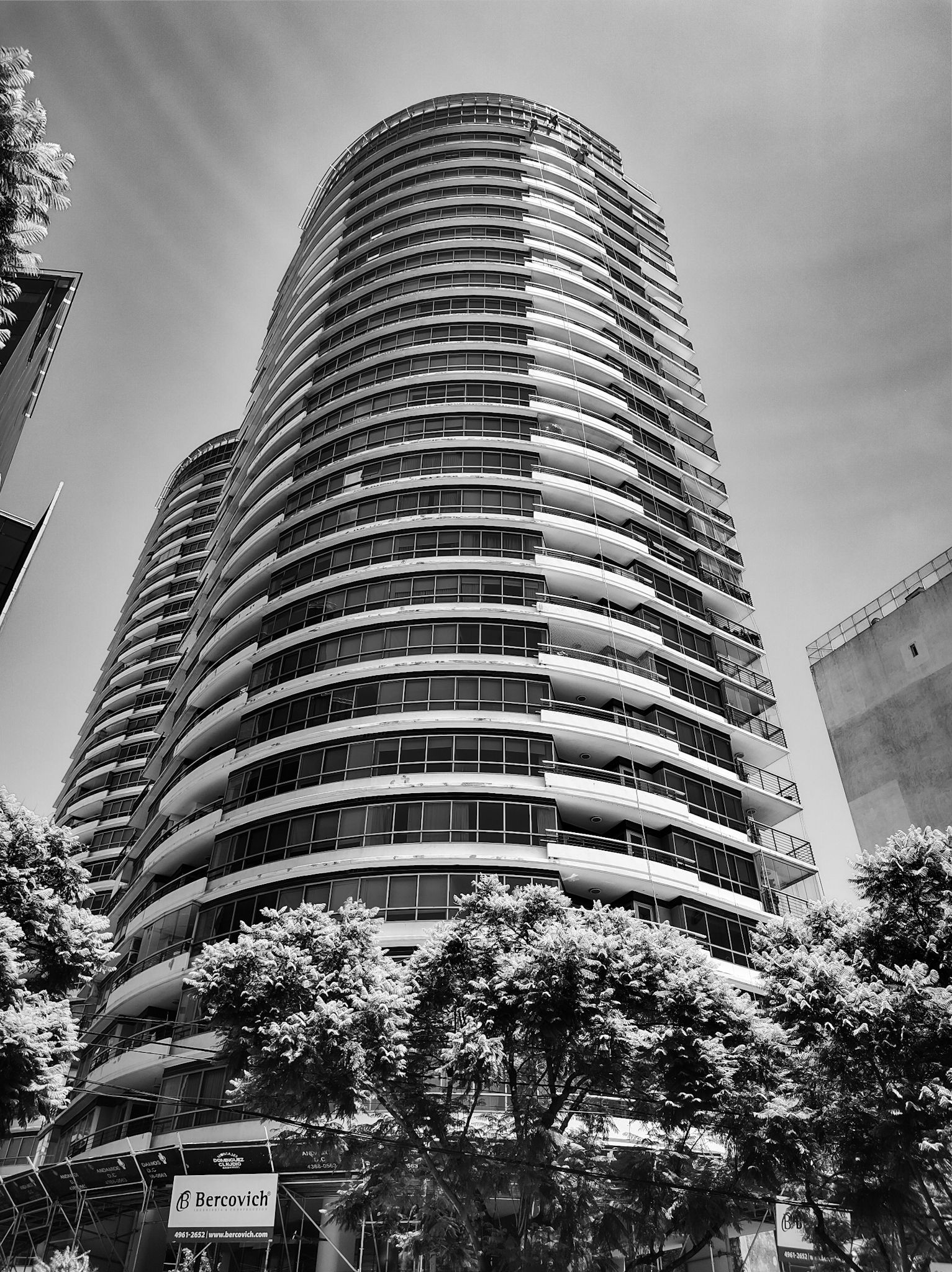 IMG_20240117_132101146_HDR.jpg