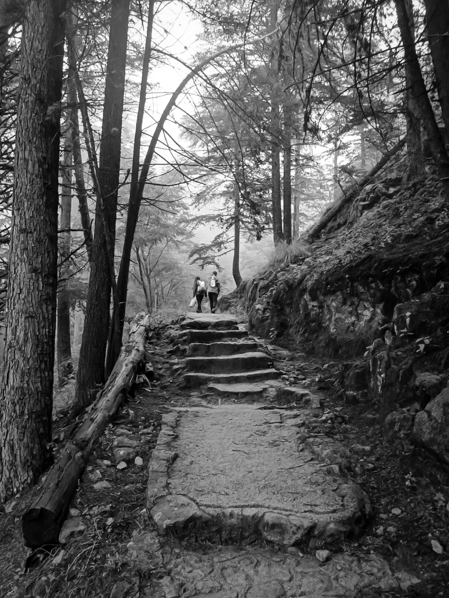 IMG-20250304-WA0016 (1).jpg