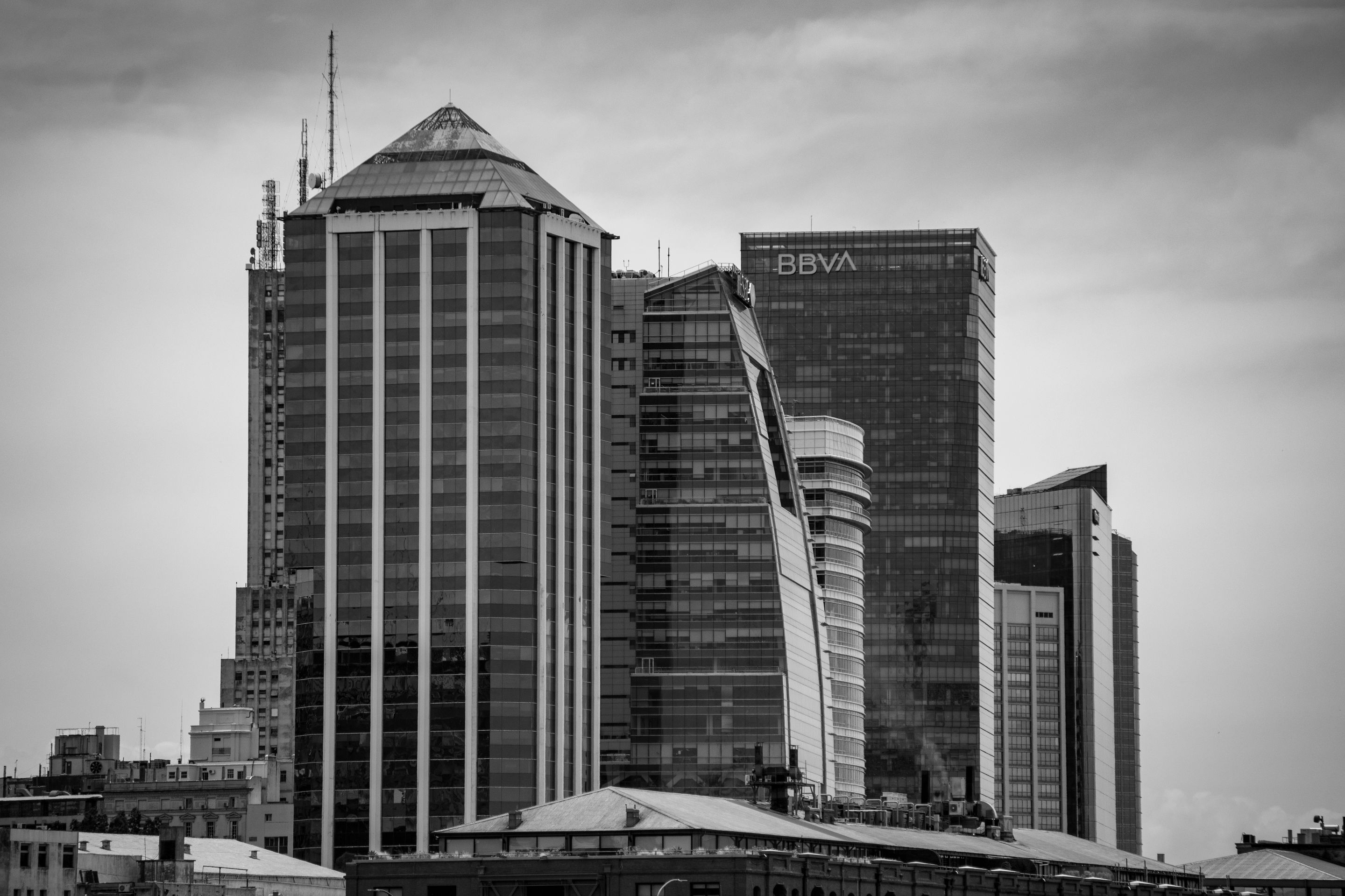 DSC_0771.jpg