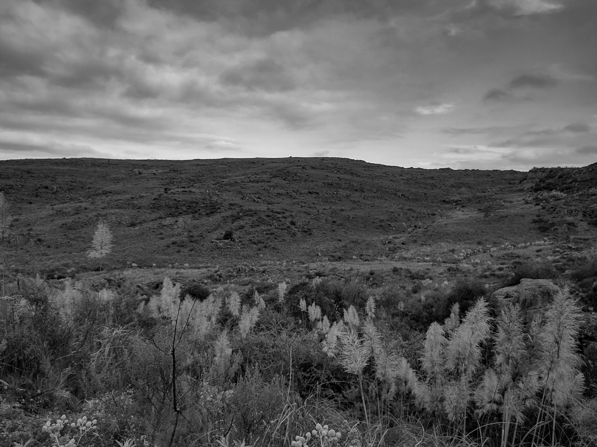 IMG_20240213_182545673_HDR.jpg