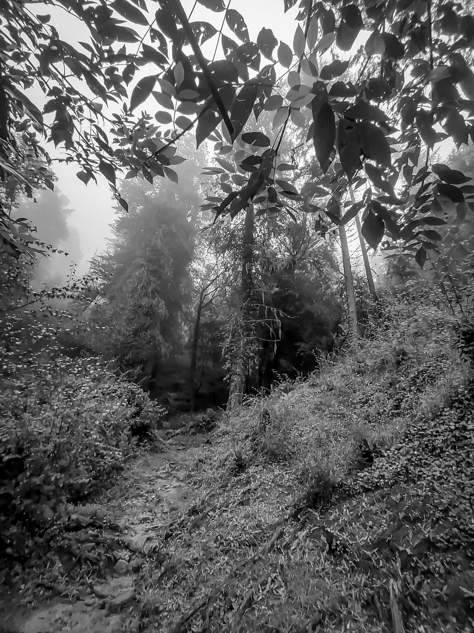 IMG_20250302_191243434_HDR (1).jpg