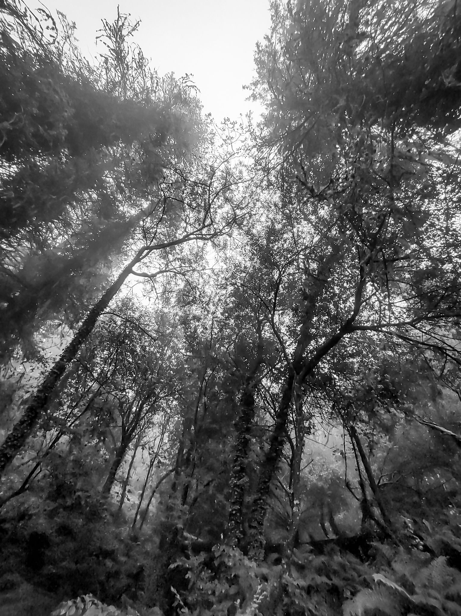 IMG_20250302_191327346_HDR (1).jpg
