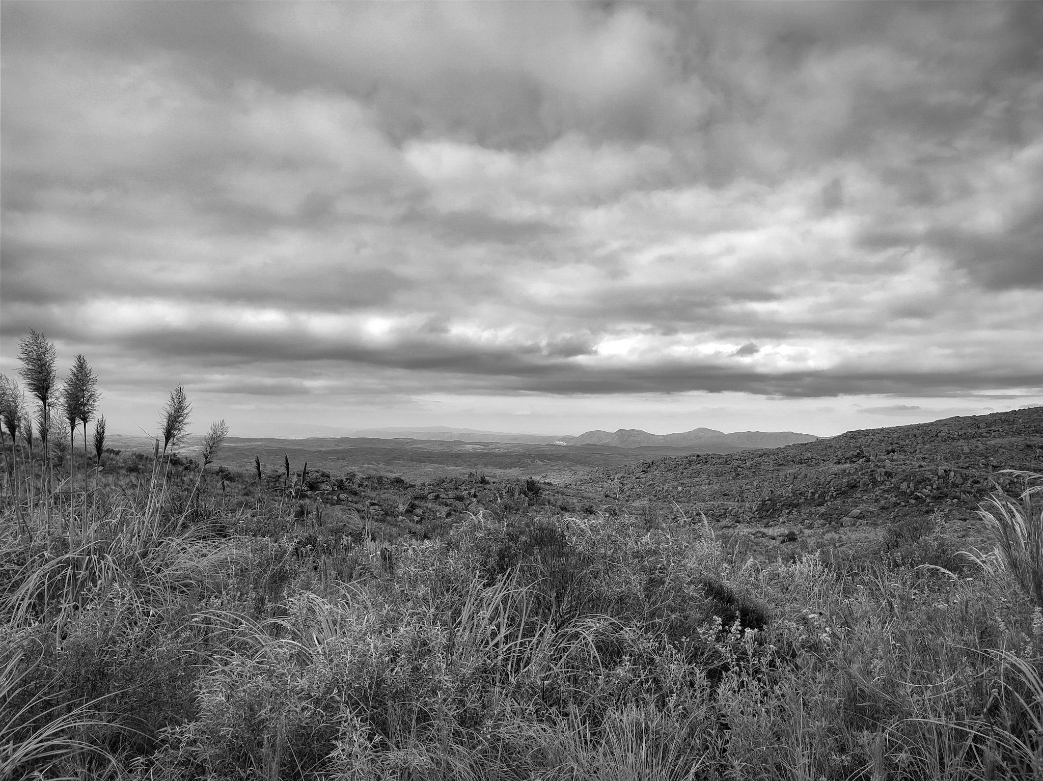 IMG_20240213_182245648_HDR.jpg