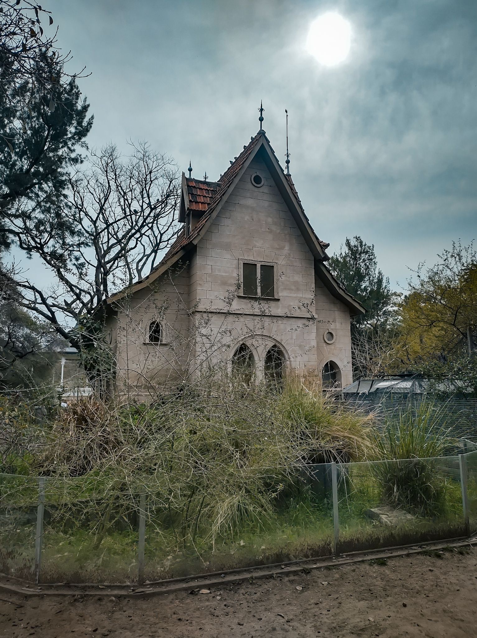 IMG_20250830_145517570_HDR.jpg