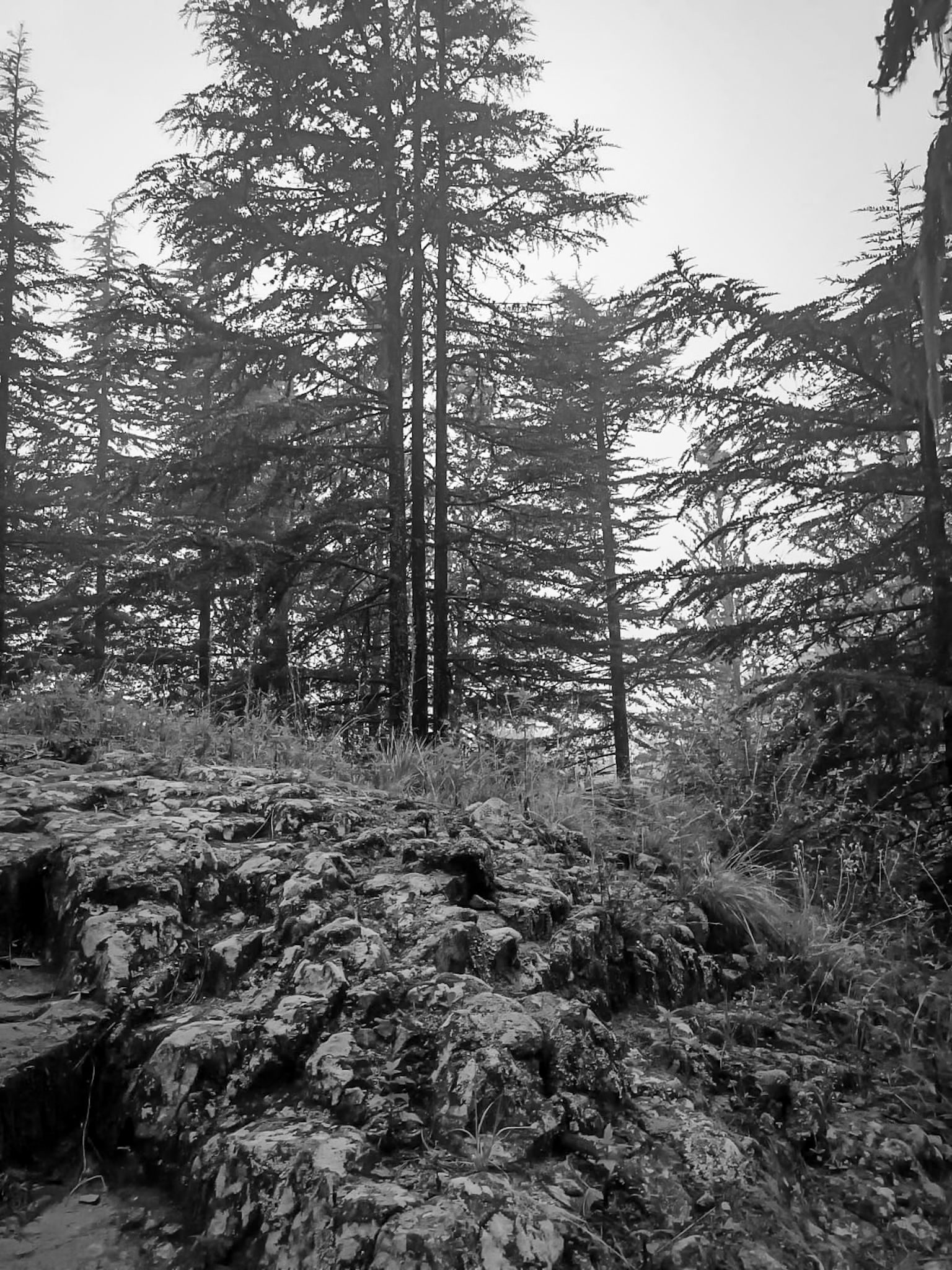 IMG-20250304-WA0015 (1).jpg