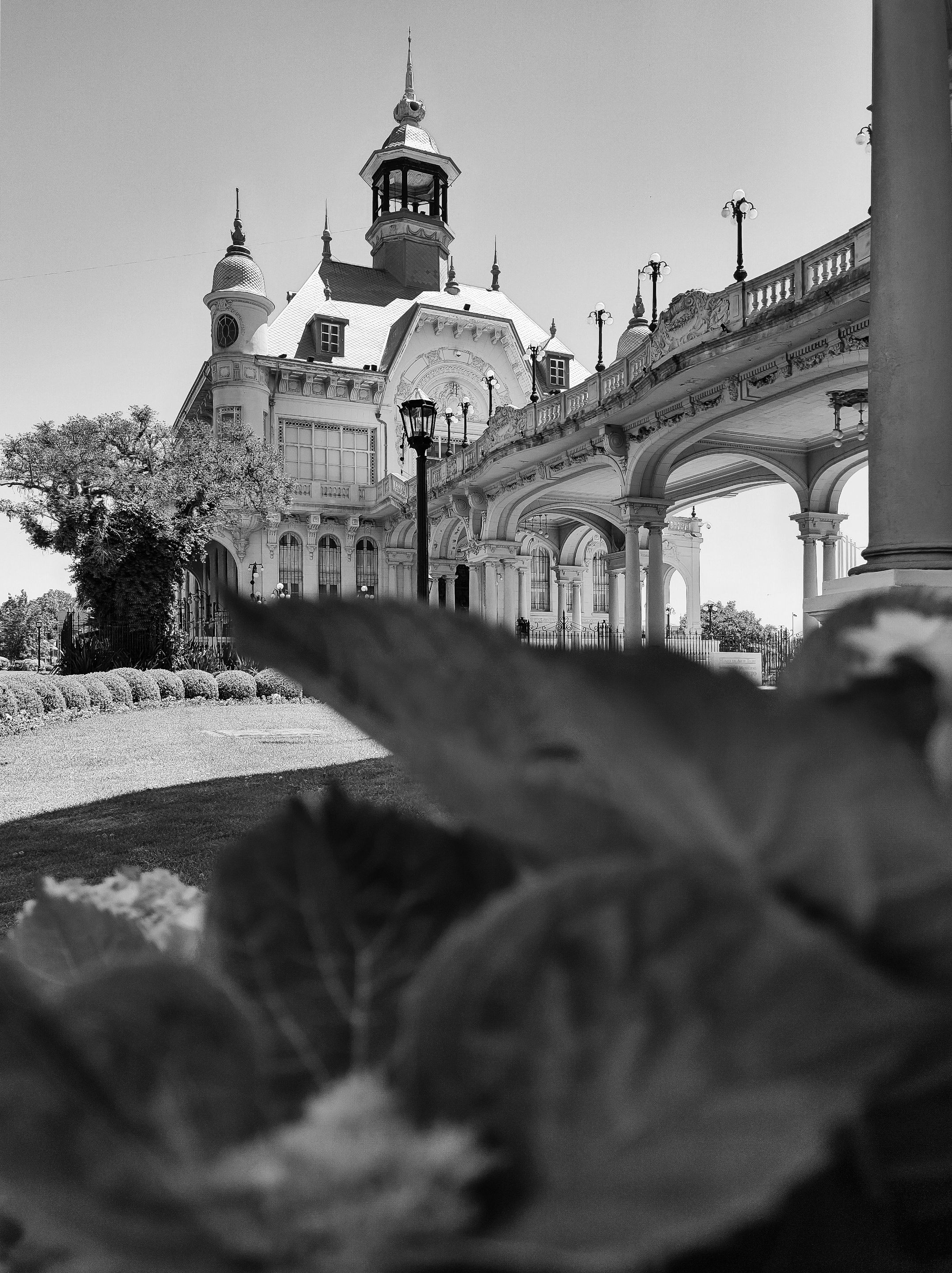 IMG_20211114_140155764_HDR.jpg