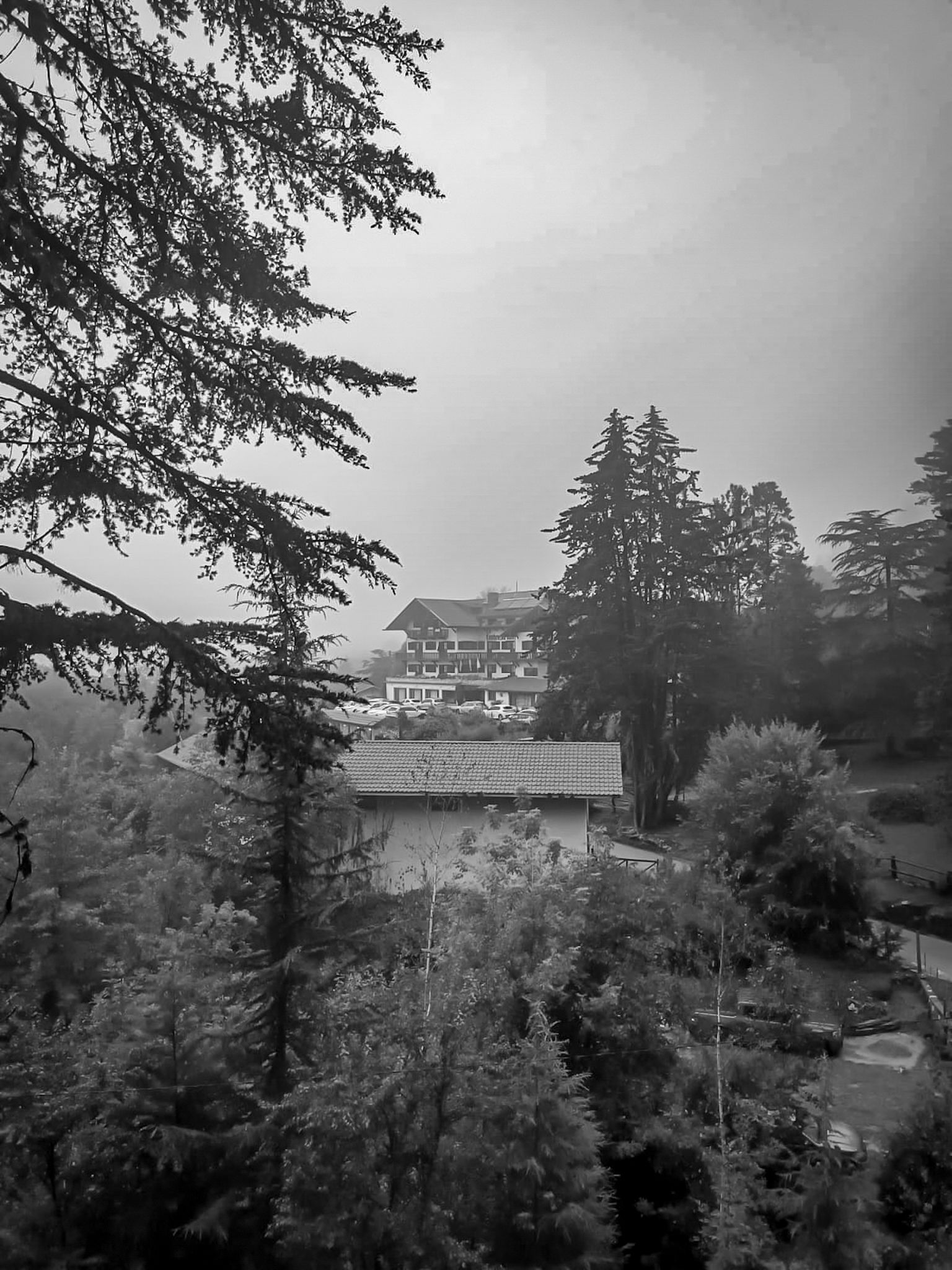 IMG-20250304-WA0017 (1).jpg