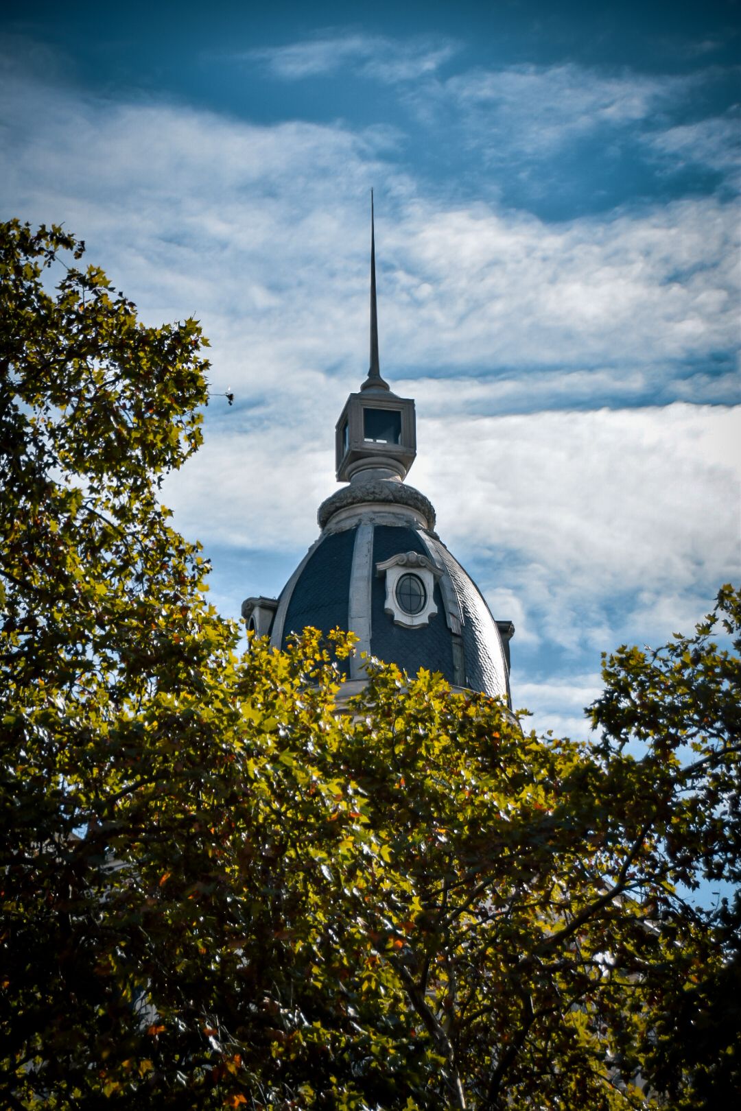 DSC_0614.jpg