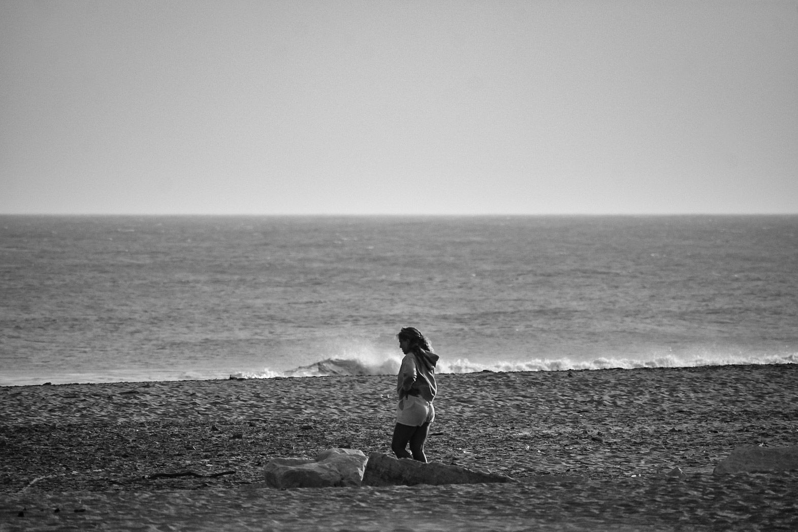DSC_0345.jpg