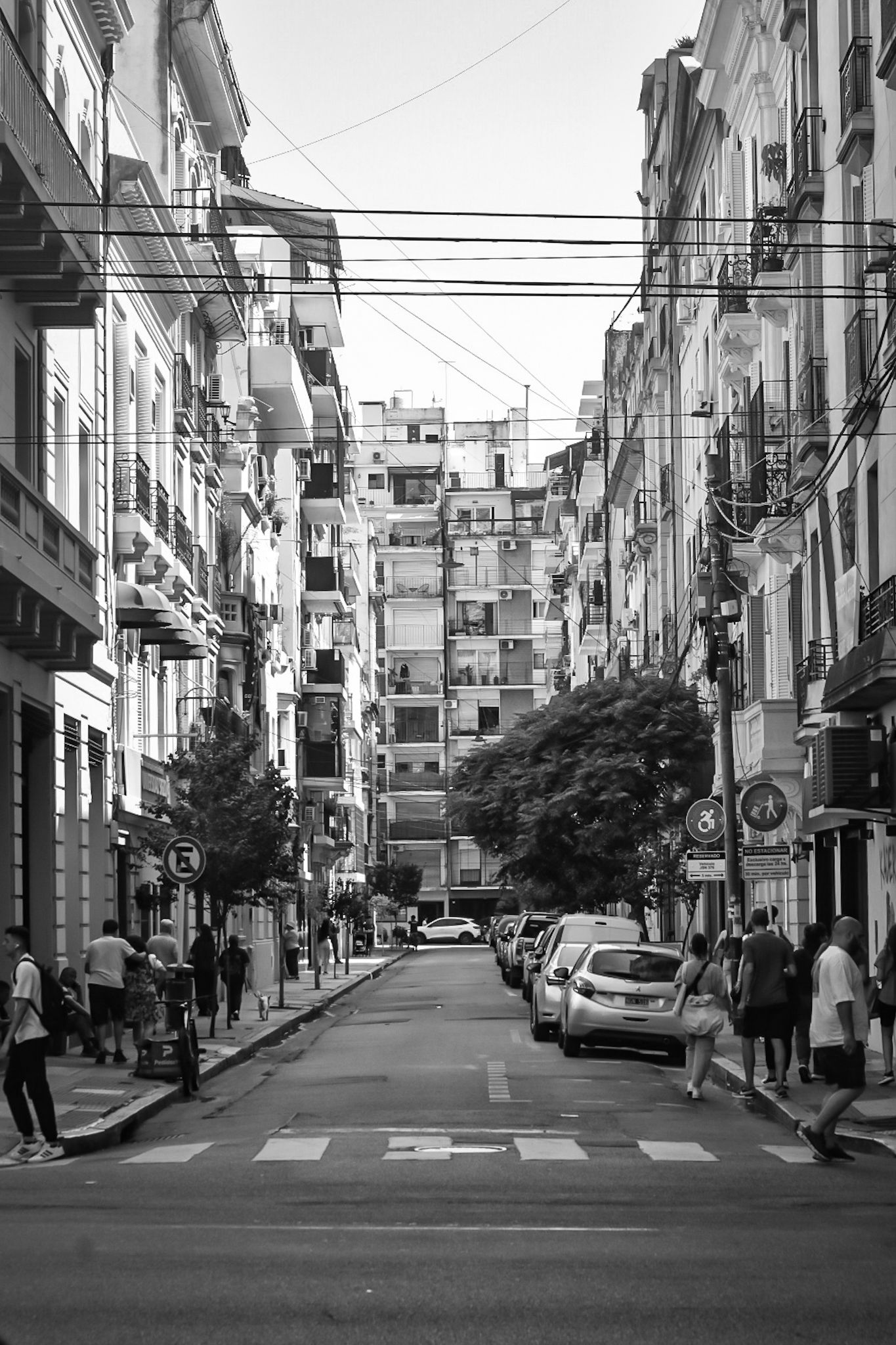 DSC_0099 (1).jpg