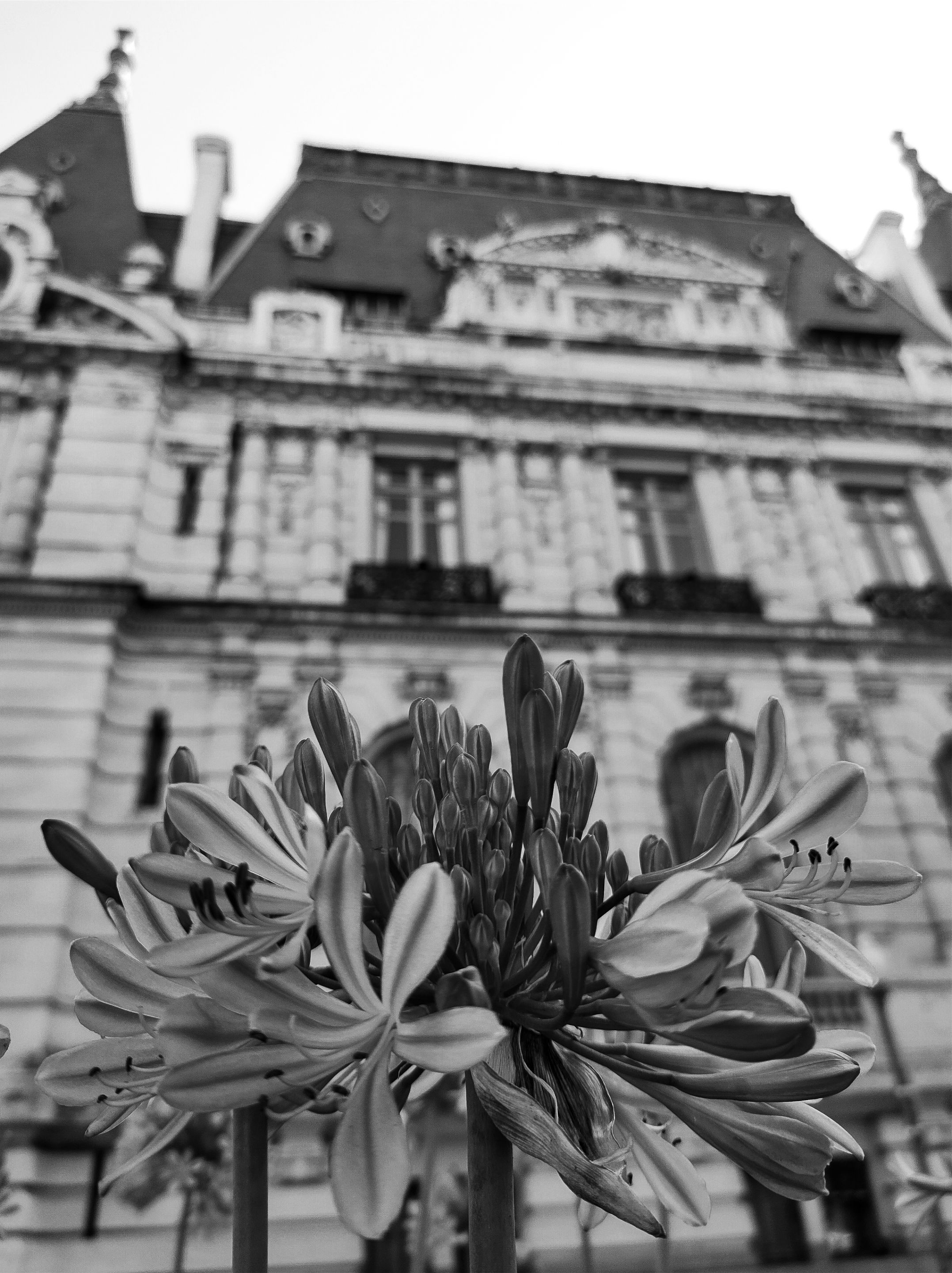 IMG_20211205_163233631_HDR.jpg