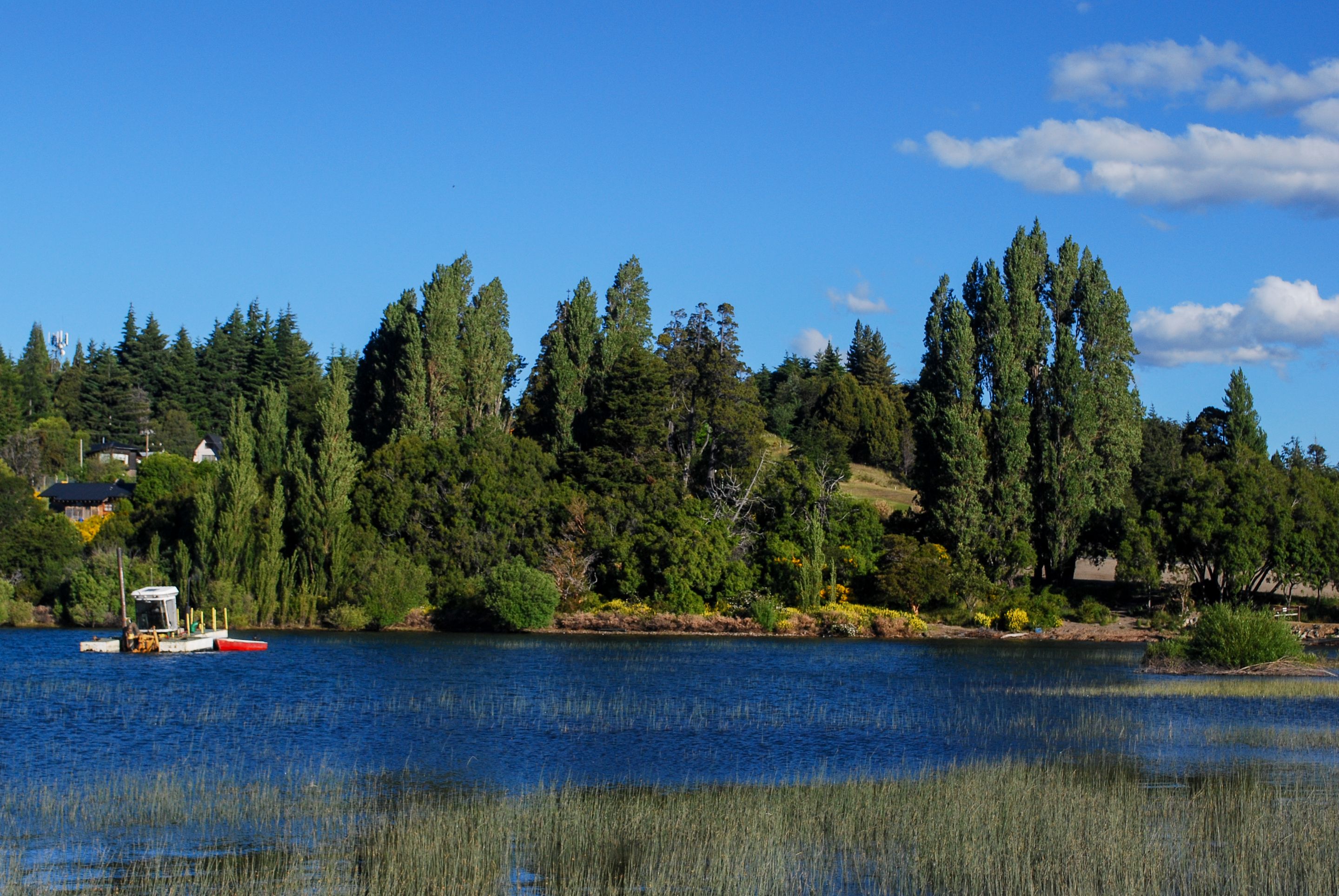 DSC_1210.jpg