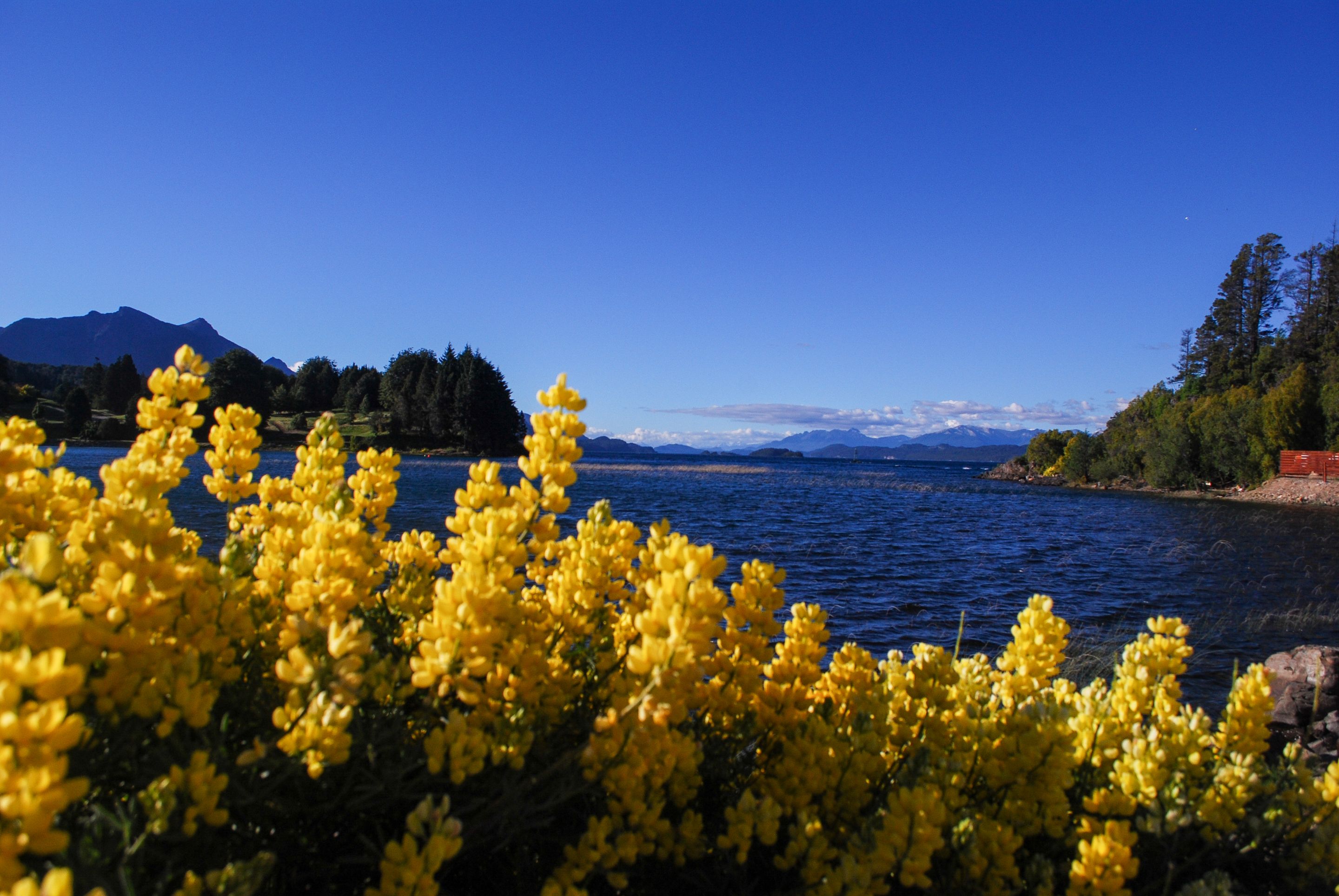 DSC_1199.jpg