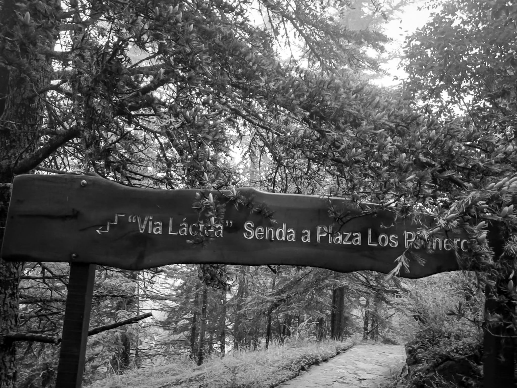 IMG-20250304-WA0010 (1).jpg