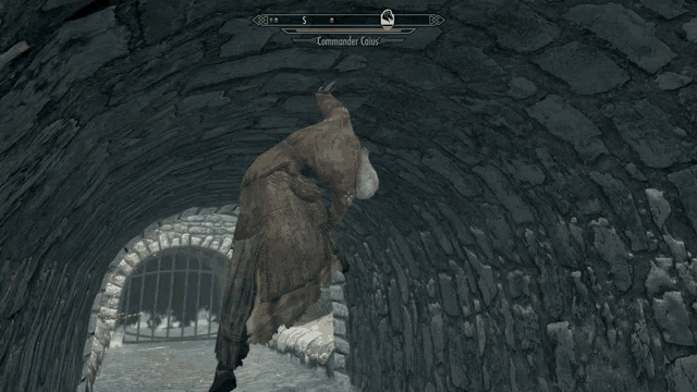skyrim-weirdmods.gif