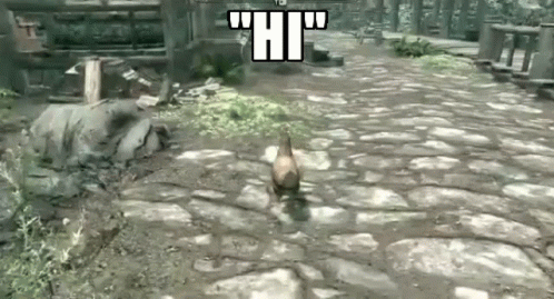 skyrim-chicken.gif
