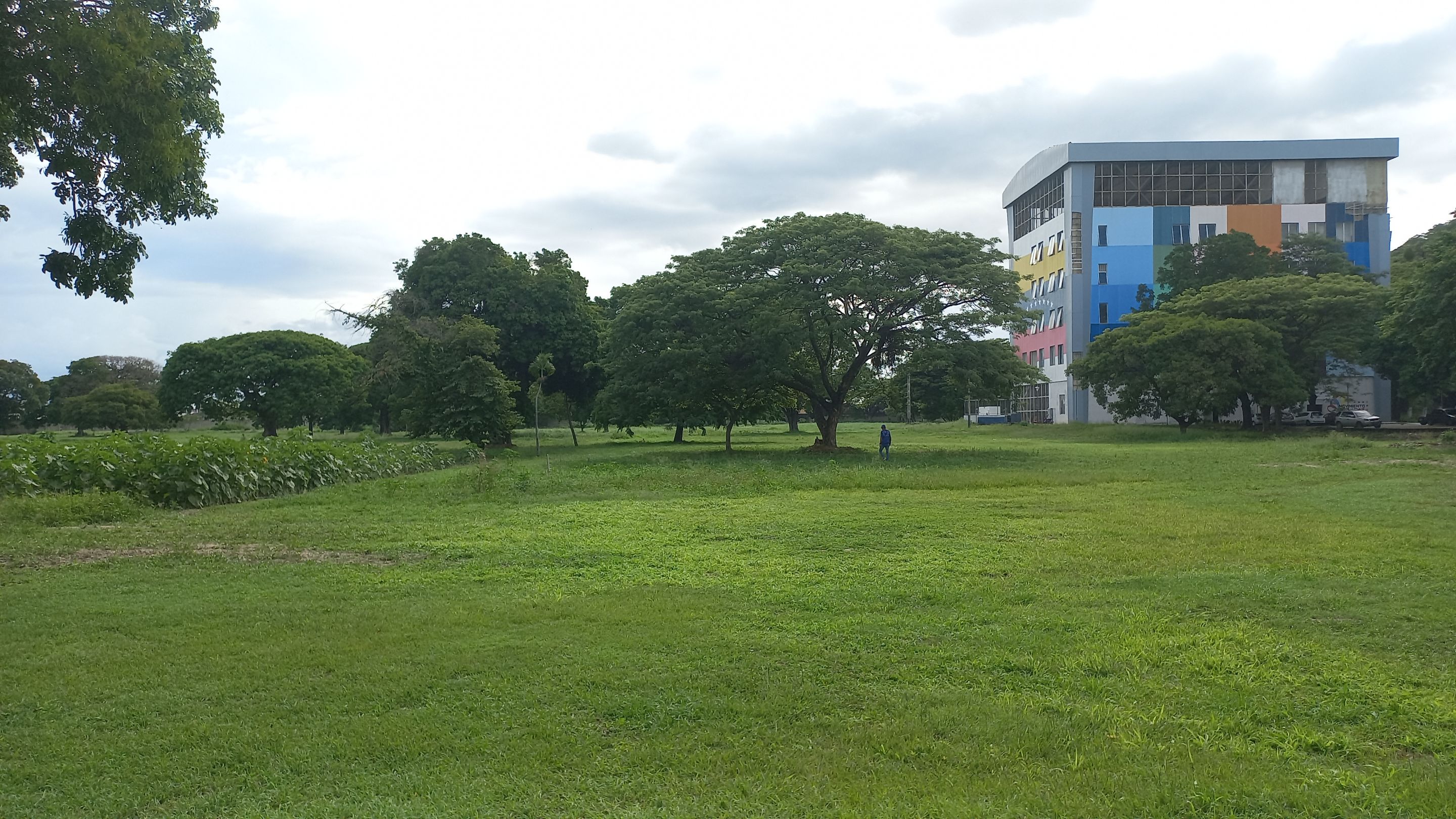 20250625_155614.jpg