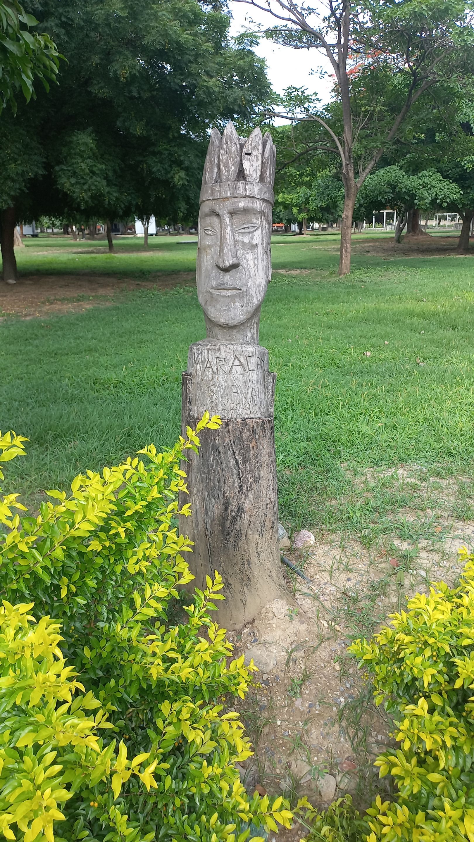 20250625_155555.jpg