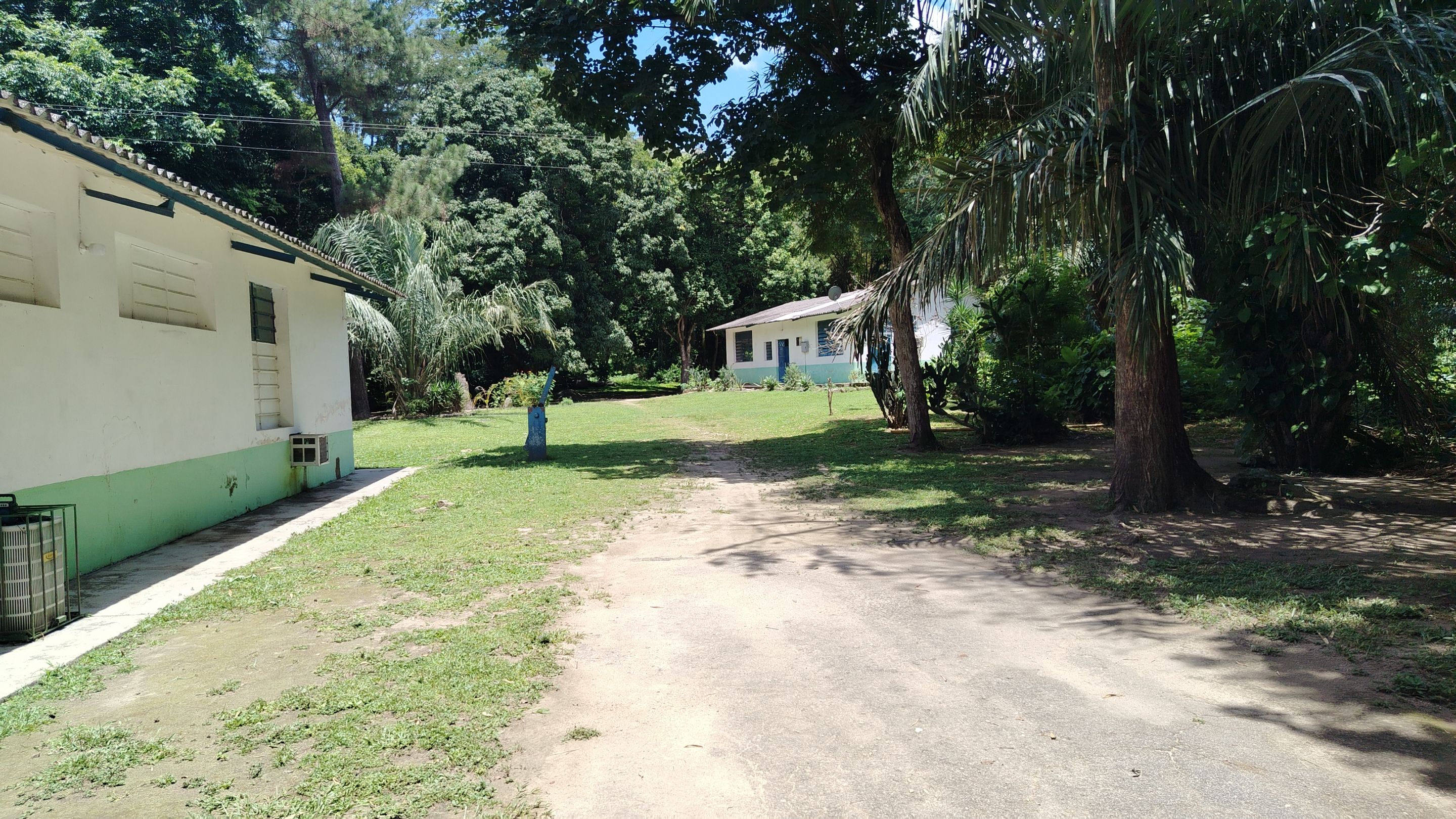 IMG_20250806_115646.jpg