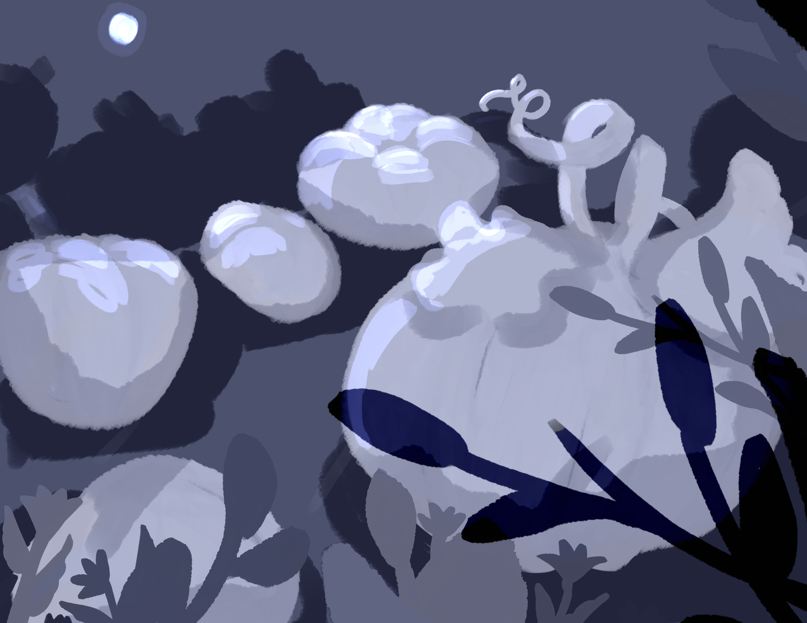1000001747.png