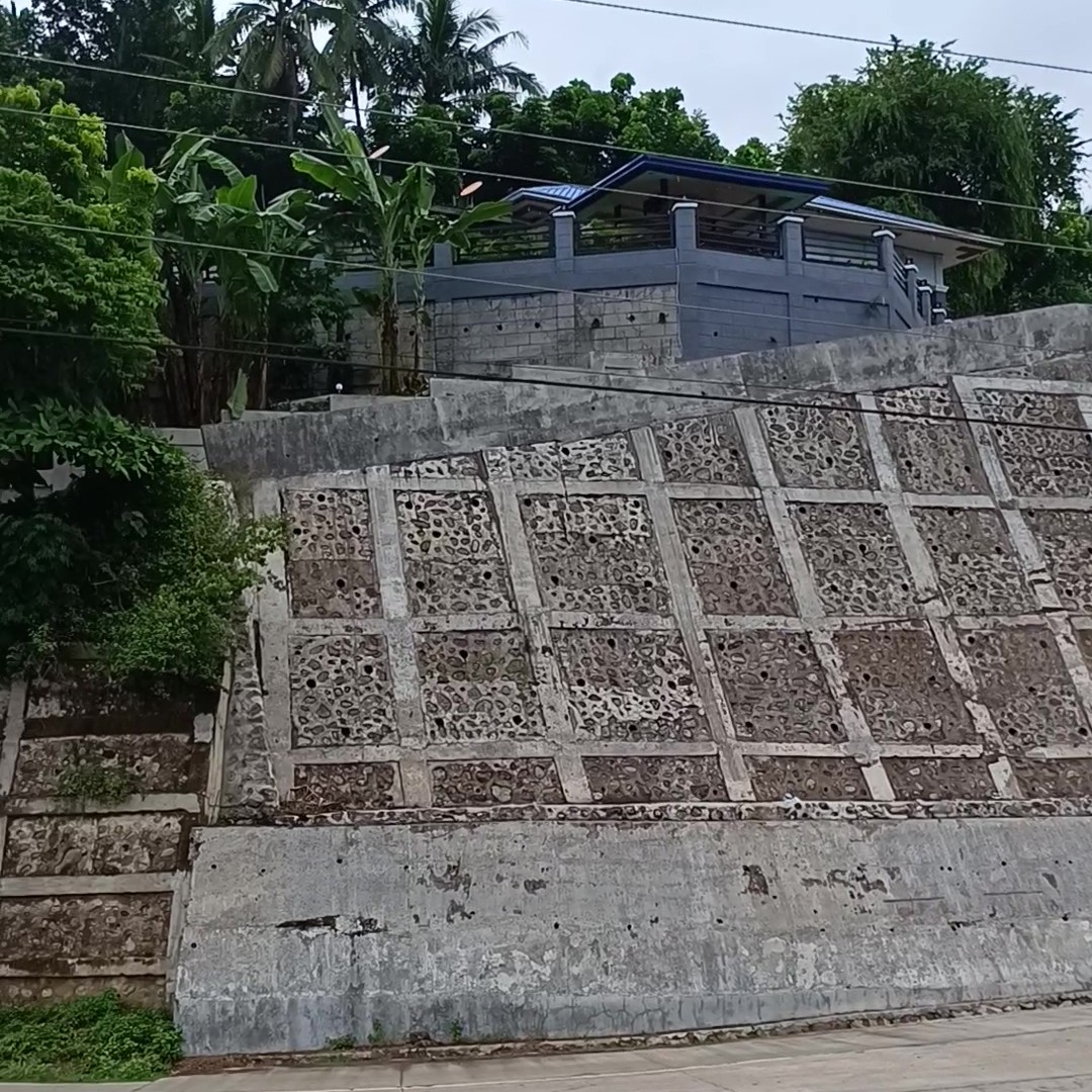 VID_20250702_163639 - frame at 0m5s.jpg