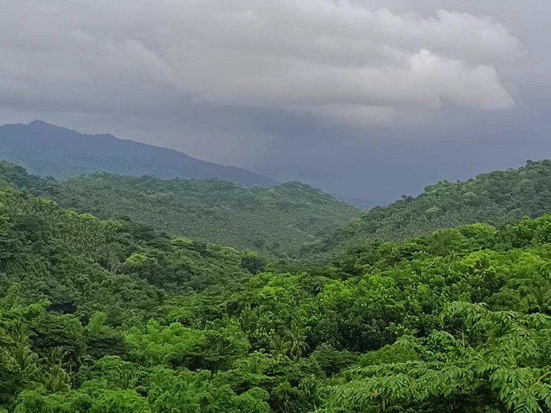 VID_20250702_163722 - frame at 0m0s.jpg