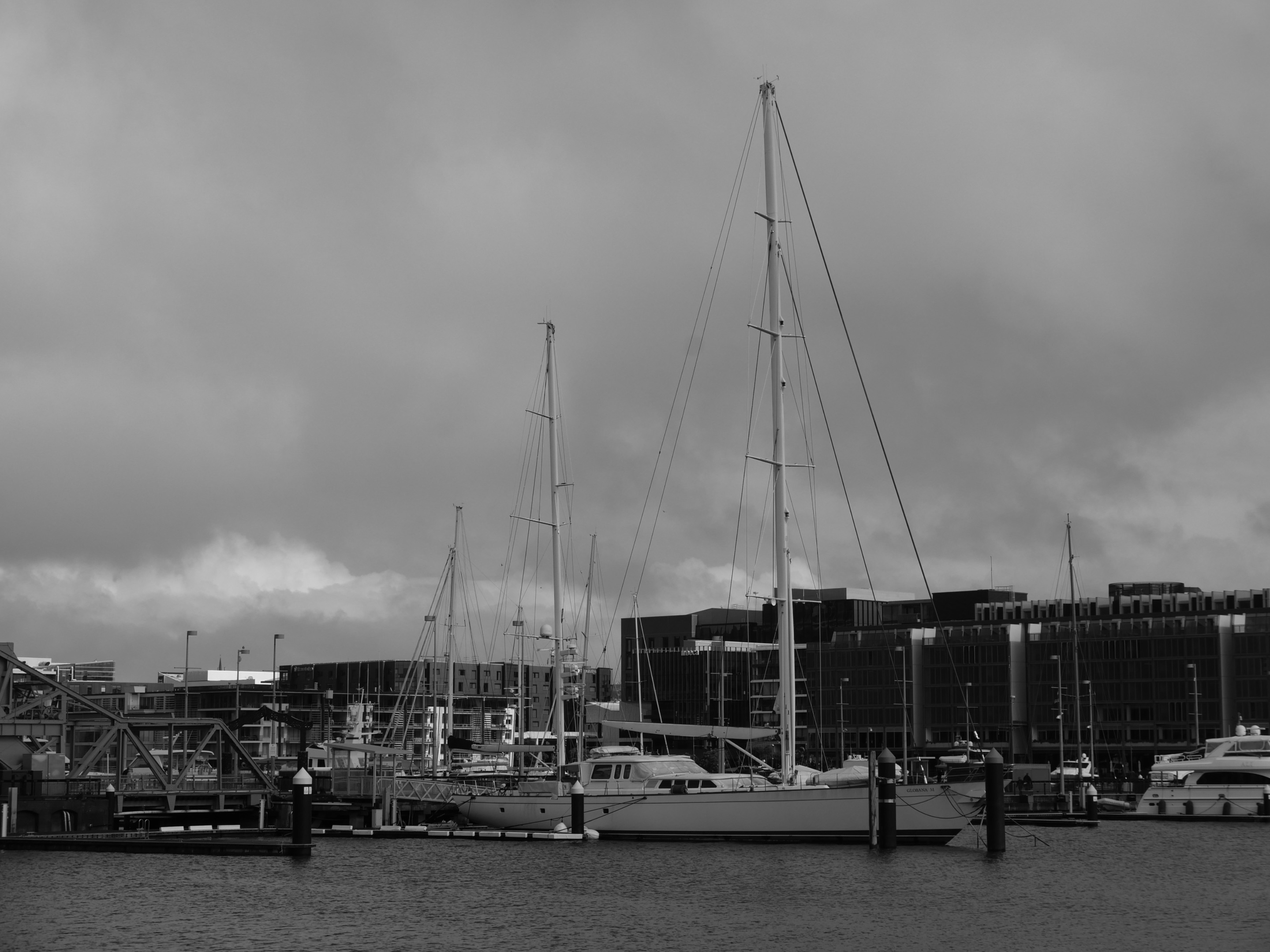 L1010071.JPG