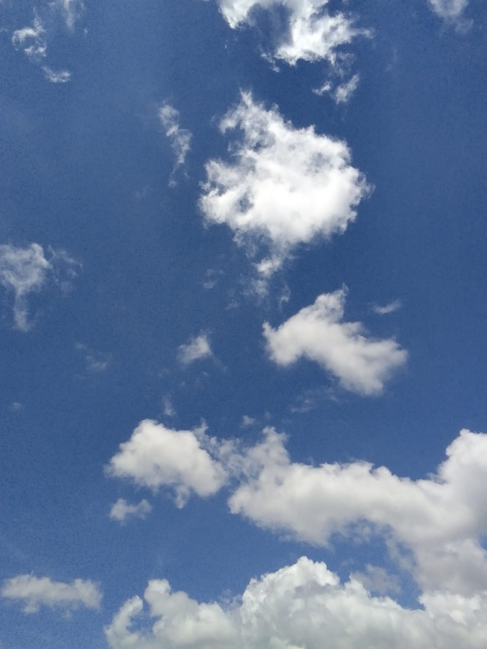 23uQn8bCc51j72AanZQ5qesh1j46SvCiJZHeSJHa46kYabUcpxC8J1okm7J4uoAVsVNm5.jpeg
