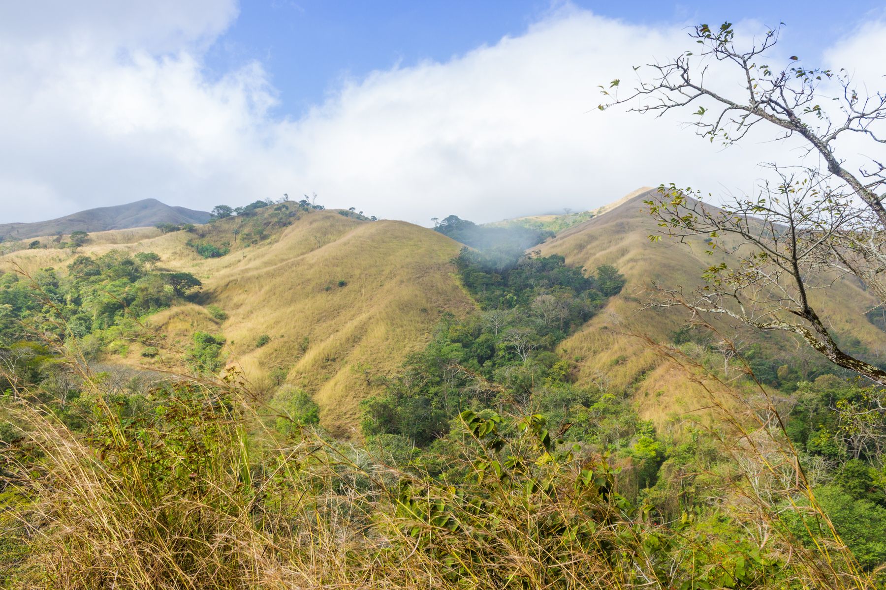 La llovizna (San Casimiro) / The drizzle (San Casimiro)