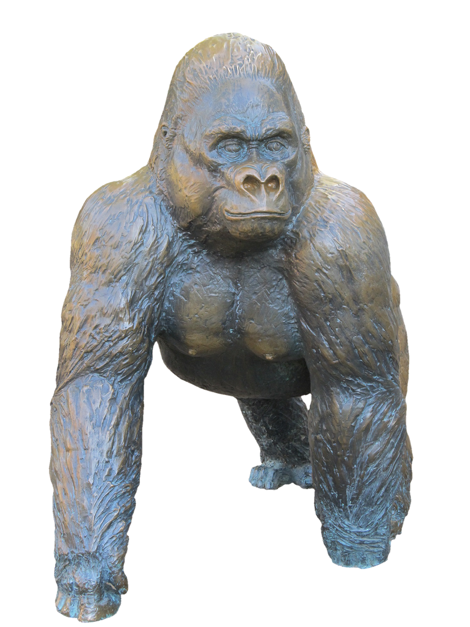 gorilla2807937_1280.webp